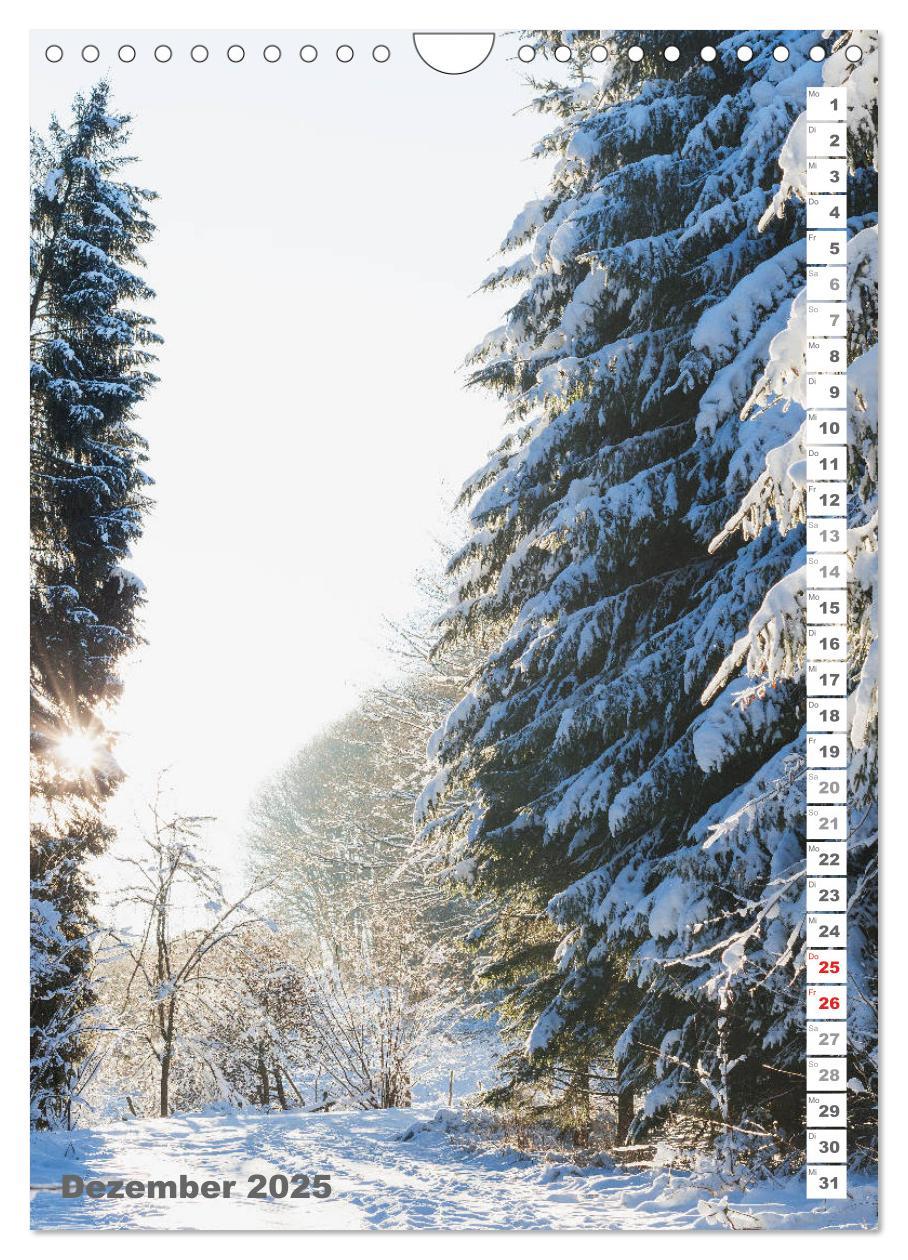 Bild: 9783435945481 | EIFEL - Kraftorte Wald und Wasser (Wandkalender 2025 DIN A4 hoch),...