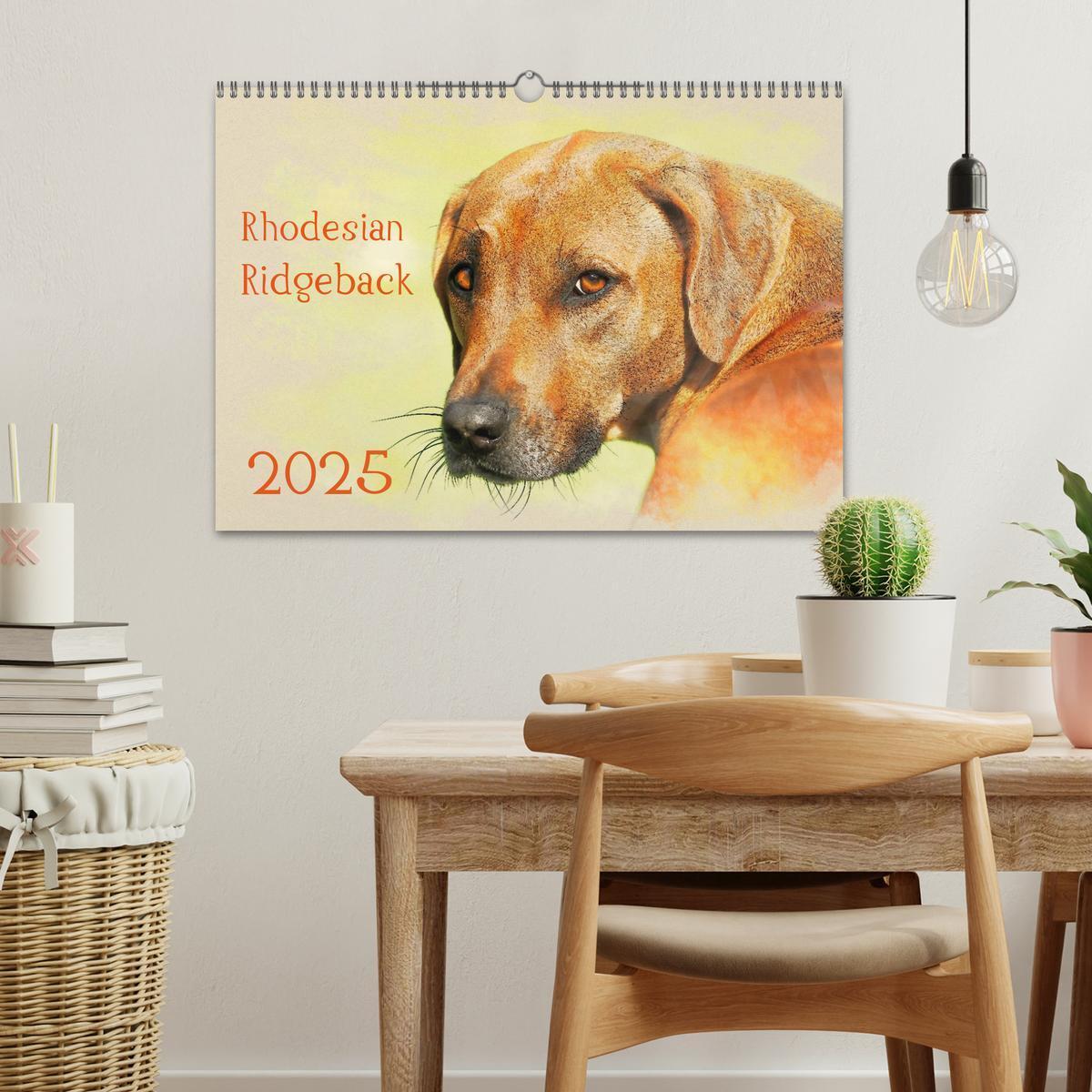 Bild: 9783435705191 | Rhodesian Ridgeback 2025 (Wandkalender 2025 DIN A3 quer), CALVENDO...