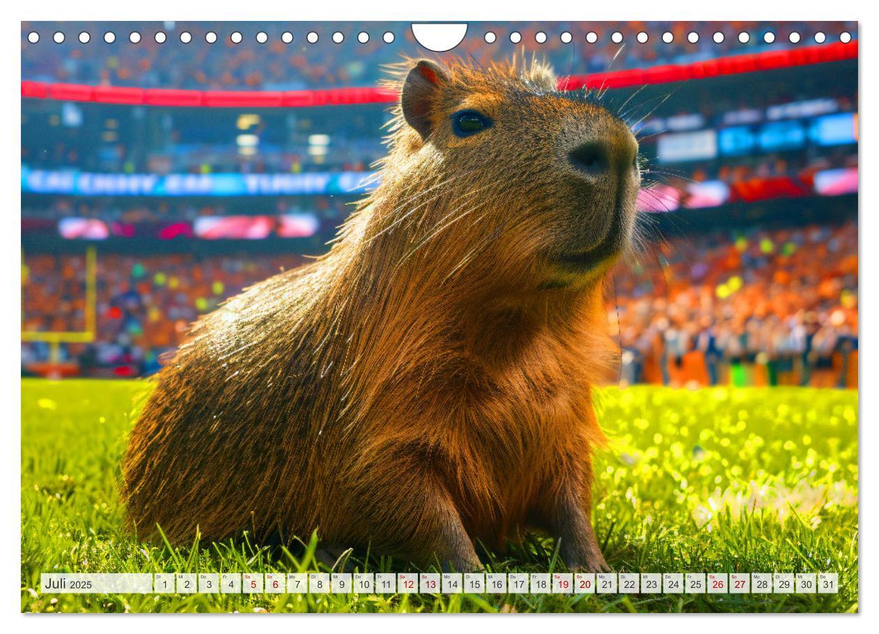 Bild: 9783457163931 | Capybaras im Alltag - Ein Jahr voller Abenteuer (Wandkalender 2025...