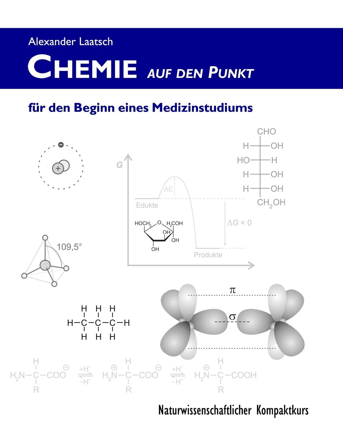 Cover: 9783743189133 | Chemie auf den Punkt für den Beginn eines Medizinstudiums | Laatsch