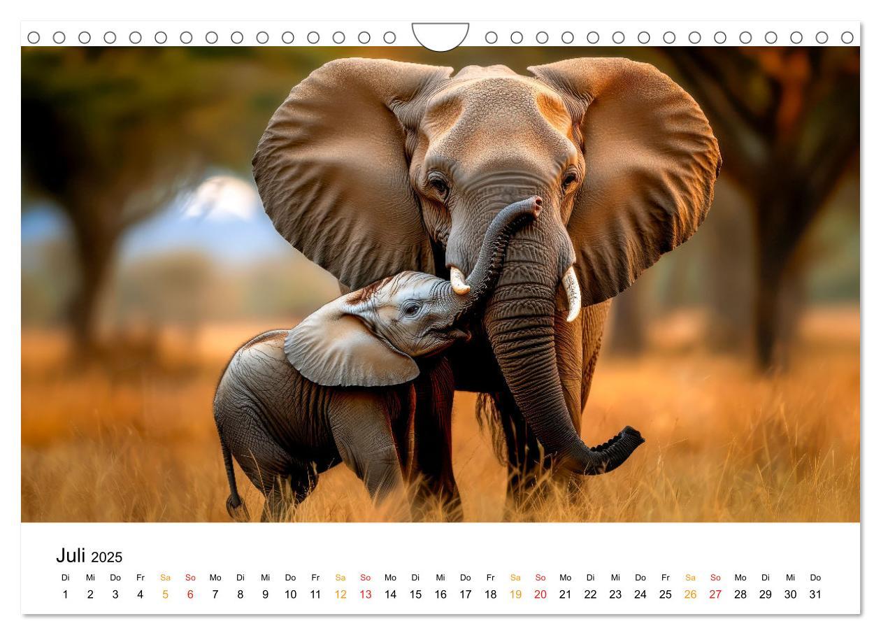 Bild: 9783457240465 | Elefanten - Riesen der Wildnis (Wandkalender 2025 DIN A4 quer),...