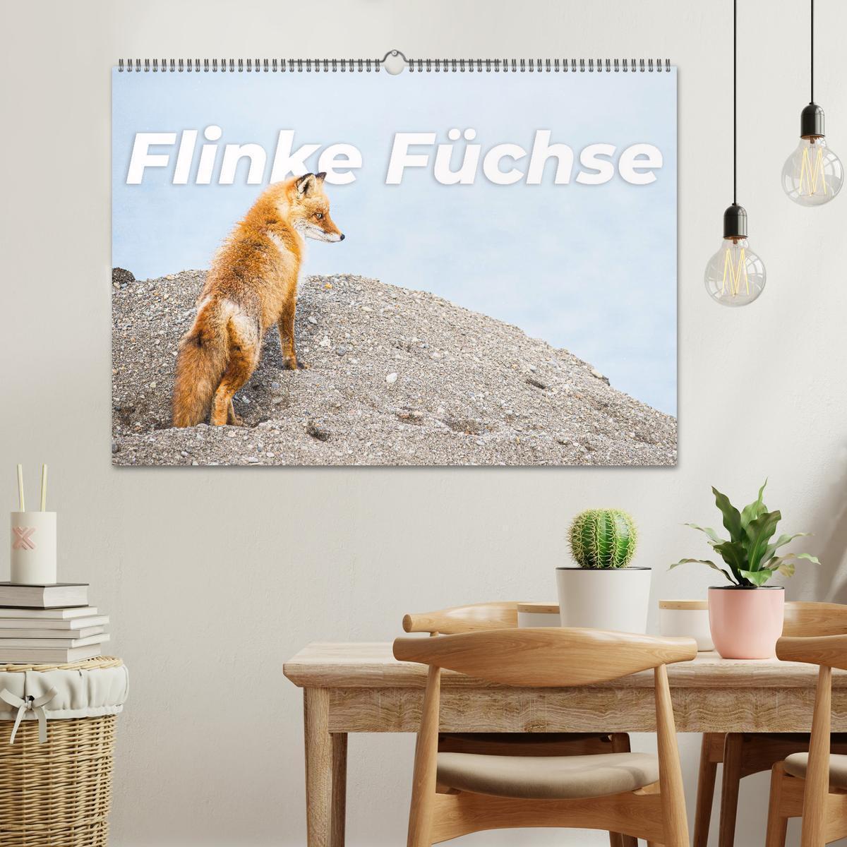 Bild: 9783435068098 | Flinke Füchse (Wandkalender 2025 DIN A2 quer), CALVENDO Monatskalender