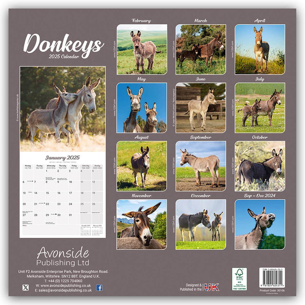 Rückseite: 9781804604311 | Donkeys - Esel 2025 - 16-Monatskalender | Avonside Publishing Ltd