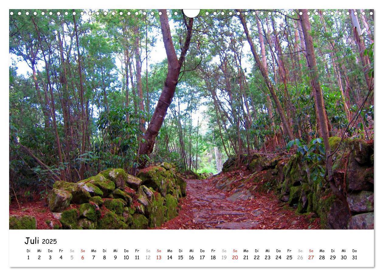 Bild: 9783435557875 | Jakobsweg - Camino Portugues (Wandkalender 2025 DIN A3 quer),...