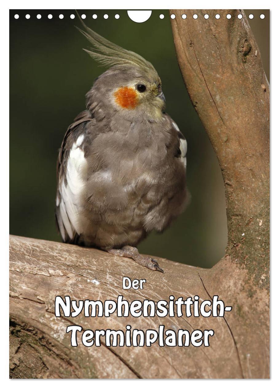 Cover: 9783457004357 | Der Nymphensittich-Terminplaner (Wandkalender 2025 DIN A4 hoch),...