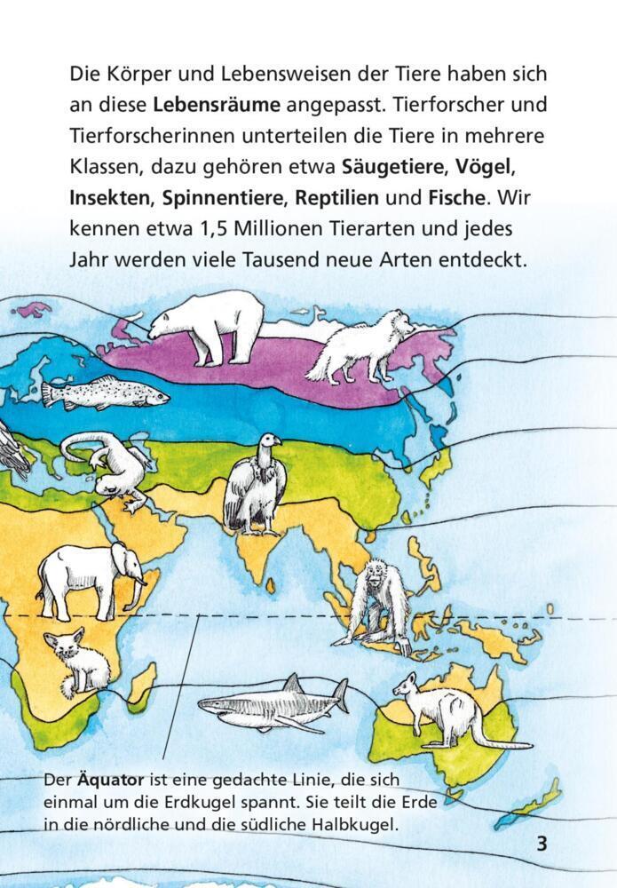 Bild: 9783551242259 | Pixi Wissen 42: Tiere der Welt | Jürgen Beckhoff | Taschenbuch | 2022