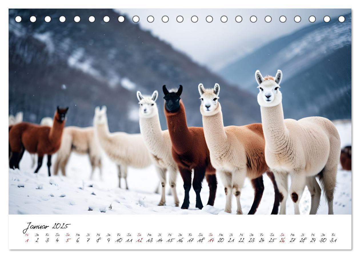 Bild: 9783457189641 | Alpakas, die sanften Andenbewohner (Tischkalender 2025 DIN A5...