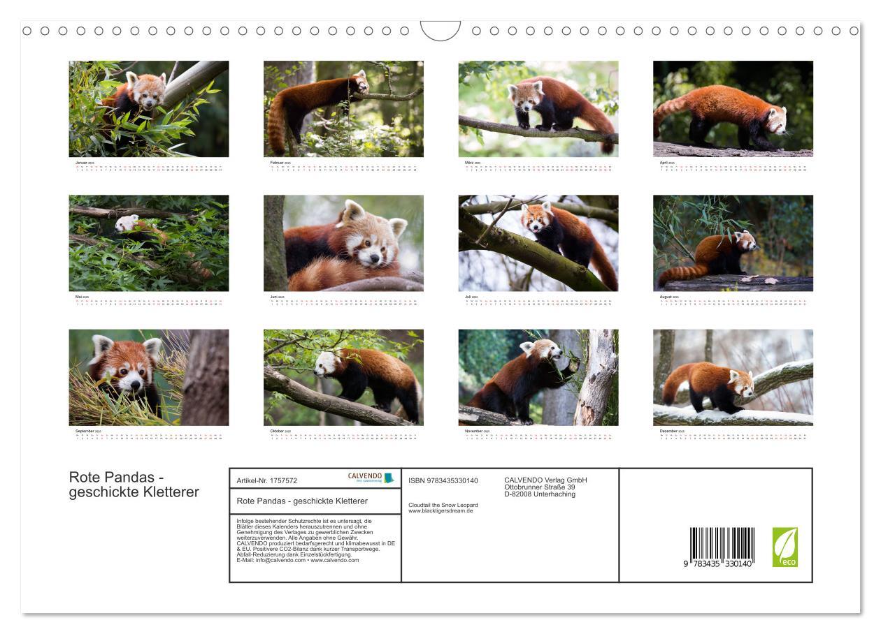 Bild: 9783435330140 | Rote Pandas - geschickte Kletterer (Wandkalender 2025 DIN A3 quer),...