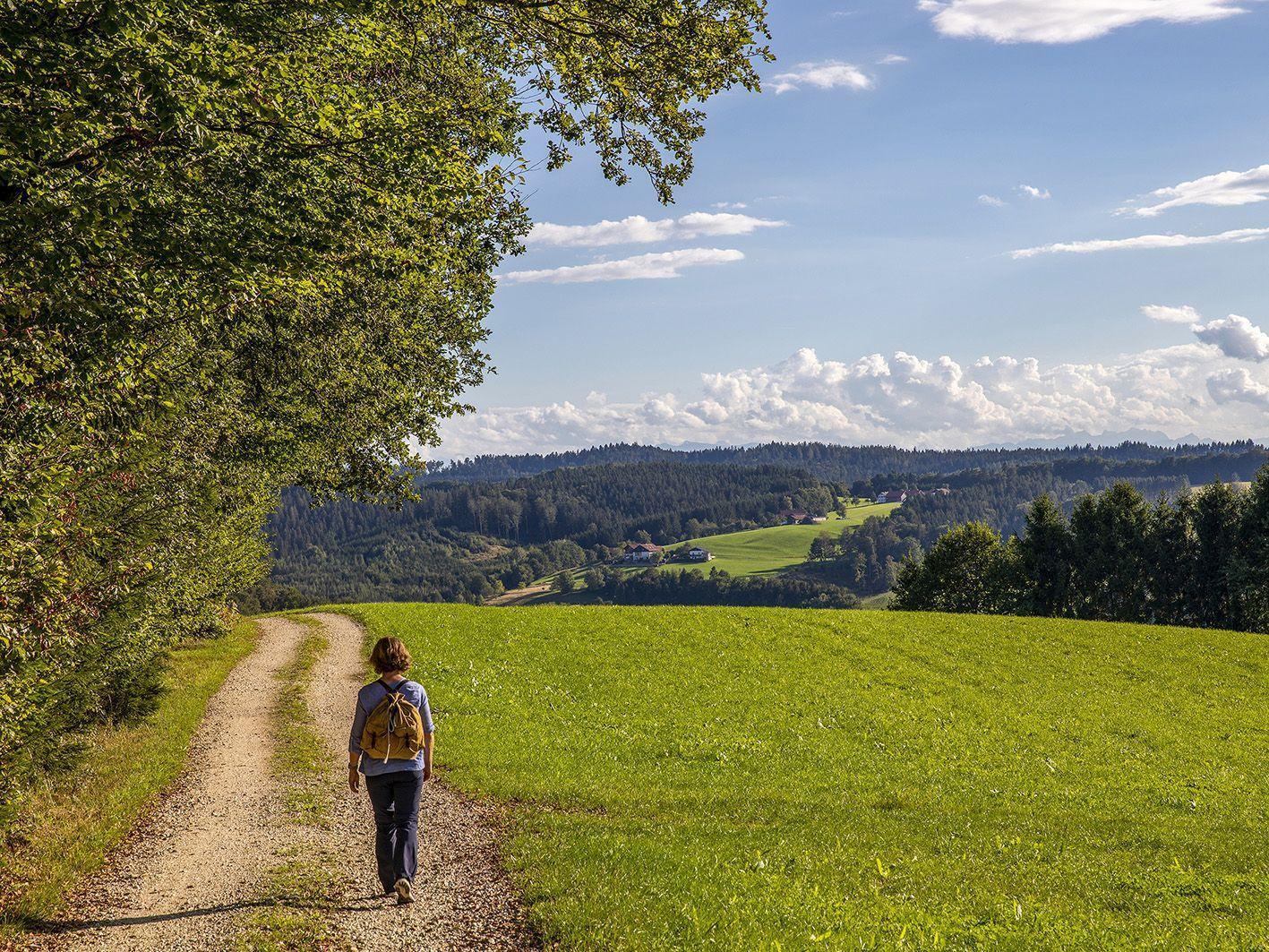 Bild: 9783950472264 | Innviertel Aktiv | Wandern - Entdecken - Genießen | Mühlleitner | Buch