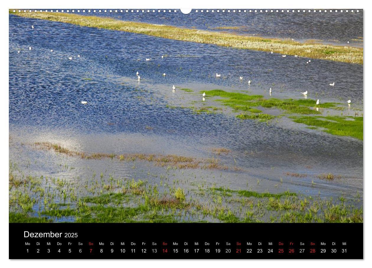 Bild: 9783435767946 | Dänemarks Nordseeküste (Wandkalender 2025 DIN A2 quer), CALVENDO...