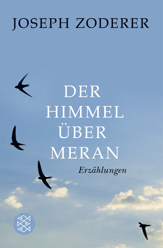 Cover: 9783596173471 | Der Himmel über Meran | Erzählungen | Joseph Zoderer | Taschenbuch