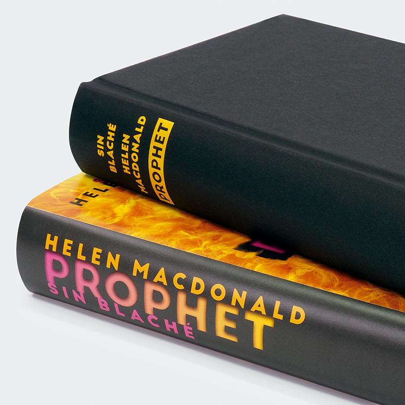 Bild: 9783446277557 | Prophet | Roman | Helen Macdonald (u. a.) | Buch | 528 S. | Deutsch