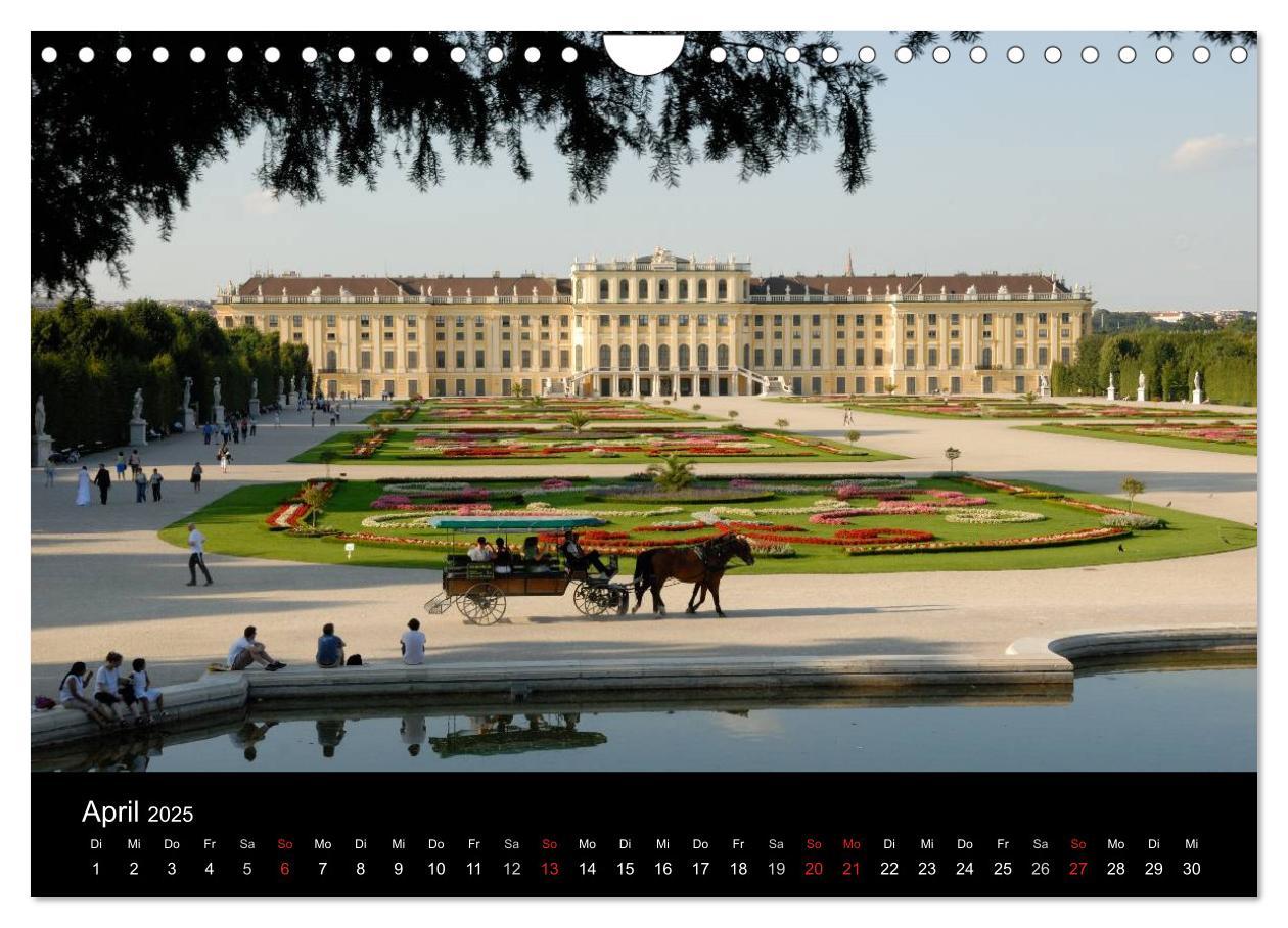 Bild: 9783435829620 | Wien (Wandkalender 2025 DIN A4 quer), CALVENDO Monatskalender | Strutz