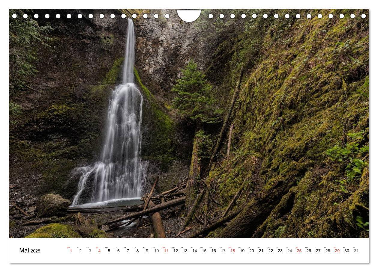 Bild: 9783435614882 | The Olympic National Park - Washington USA (Wandkalender 2025 DIN...