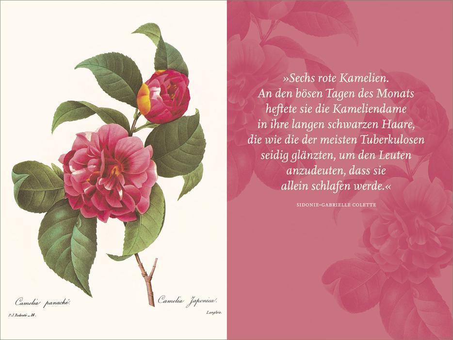 Bild: 9783458360025 | Die Blumen der Frauen | Andreas Honegger | Taschenbuch | 160 S. | 2014