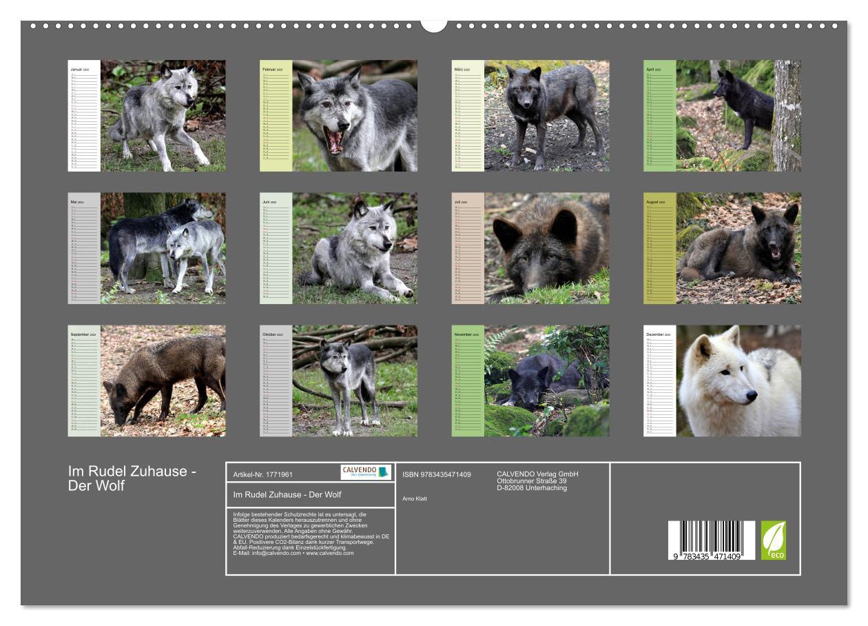 Bild: 9783435471409 | Im Rudel Zuhause - Der Wolf (hochwertiger Premium Wandkalender 2025...