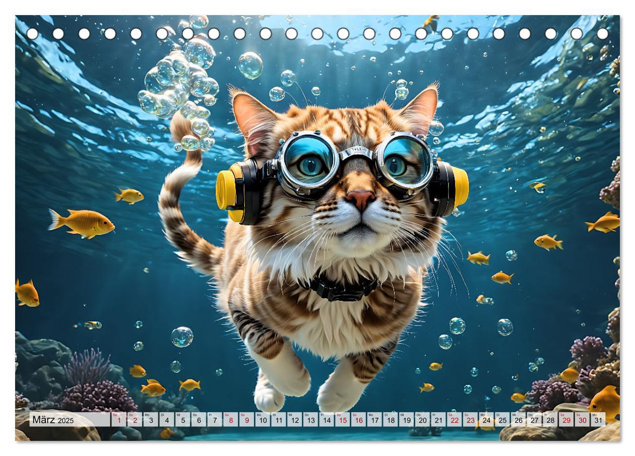 Bild: 9783383843945 | Katzen unter Wasser (Tischkalender 2025 DIN A5 quer), CALVENDO...