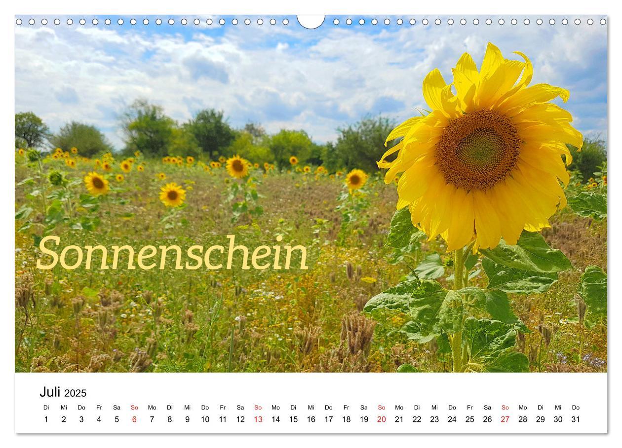 Bild: 9783435054787 | Ich wünsche Dir ... Wünsche für das neue Jahr (Wandkalender 2025...