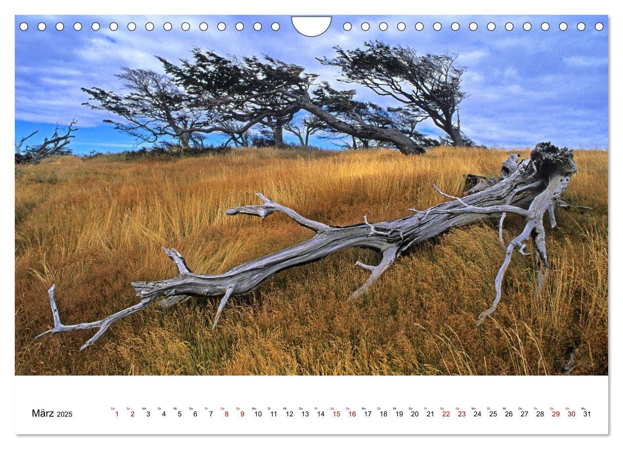 Bild: 9783435458400 | Faszinierendes Patagonien (Wandkalender 2025 DIN A4 quer), CALVENDO...