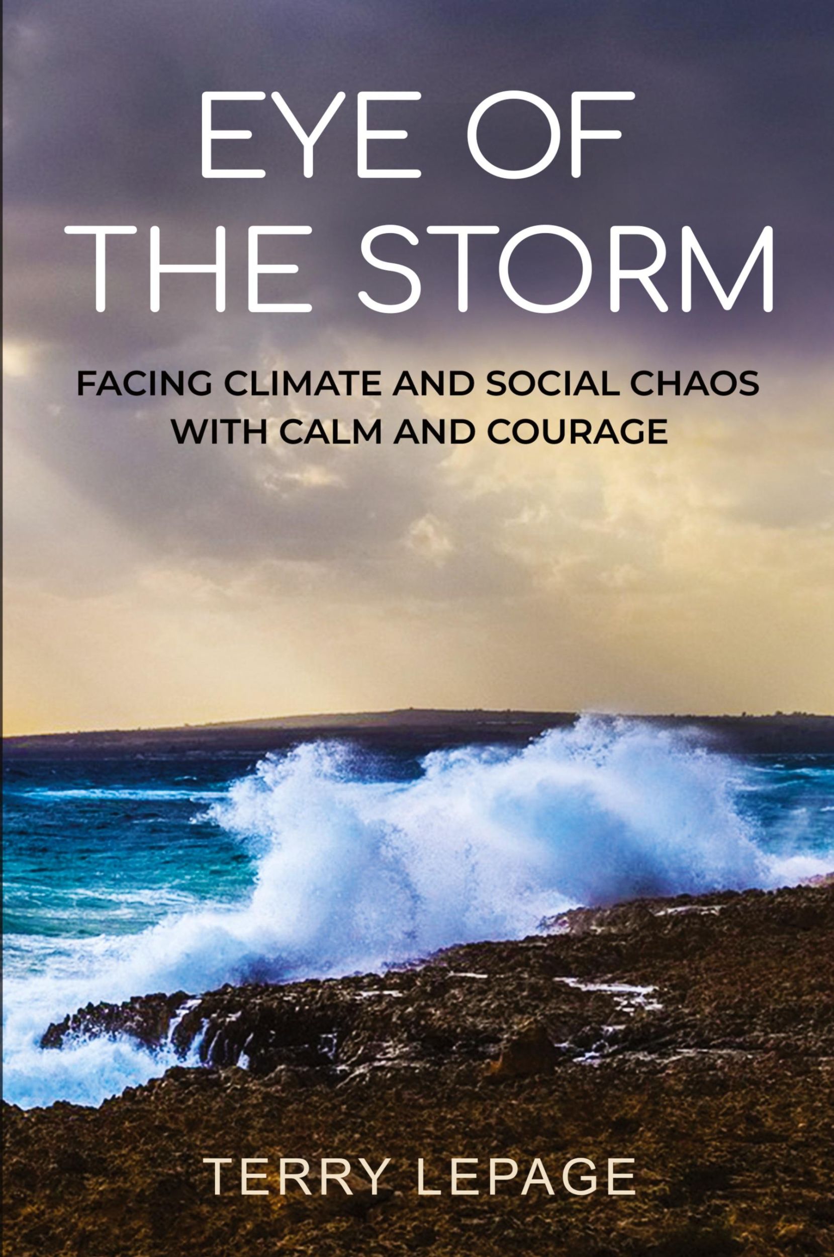 Cover: 9798988225713 | Eye of the Storm | Terry Lepage | Taschenbuch | Englisch | 2023