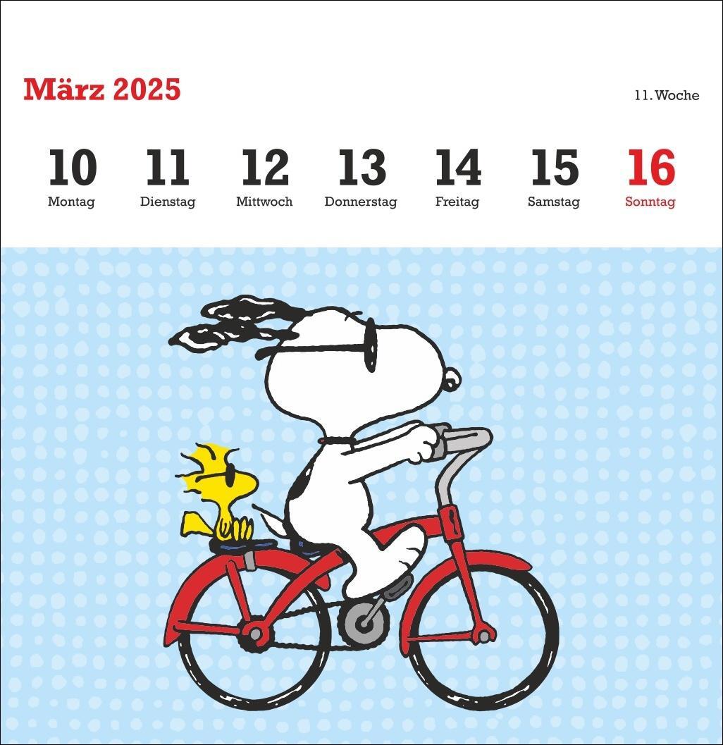 Bild: 9783756408078 | Peanuts Premium-Postkartenkalender 2025 | Heye | Kalender | 54 S.