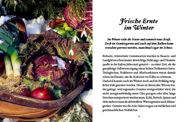 Bild: 9783710402425 | Das kleine Buch: Wintergemüse | Vitamine ernten bei Schnee & Frost