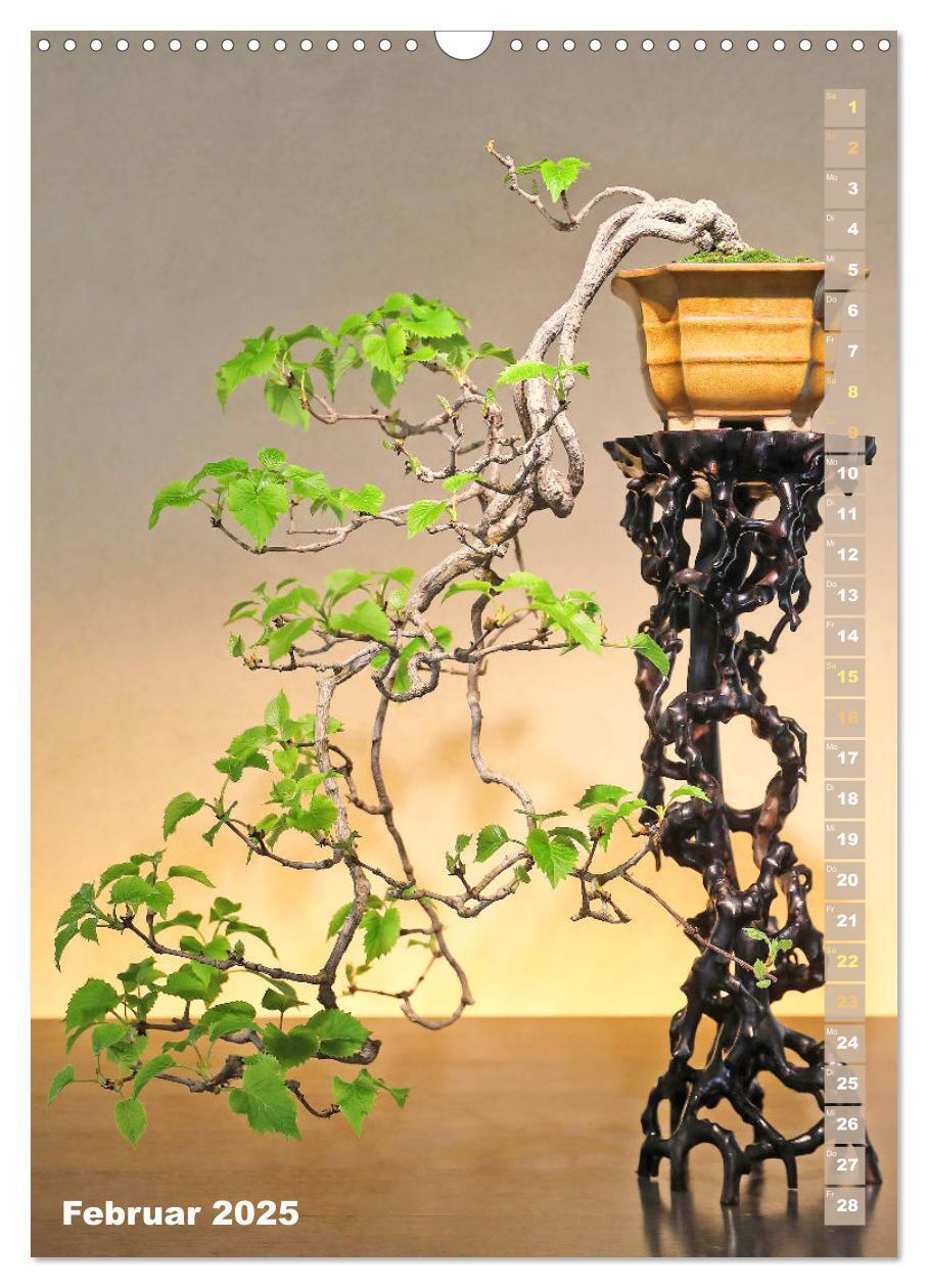 Bild: 9783435851232 | Bonsai: Gartenkunst im Kleinen (Wandkalender 2025 DIN A3 hoch),...