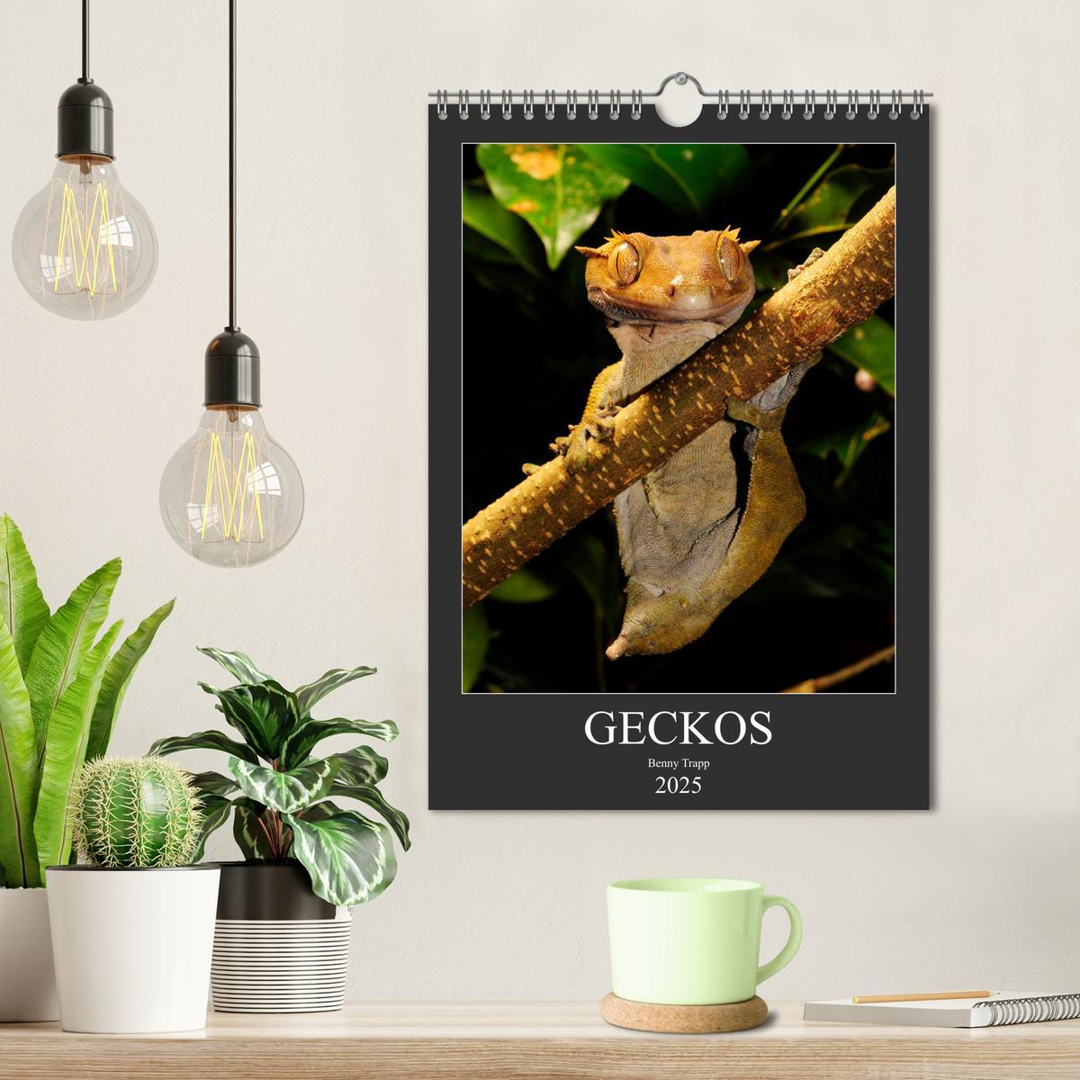 Bild: 9783435994304 | GECKOS (Wandkalender 2025 DIN A4 hoch), CALVENDO Monatskalender | 2025