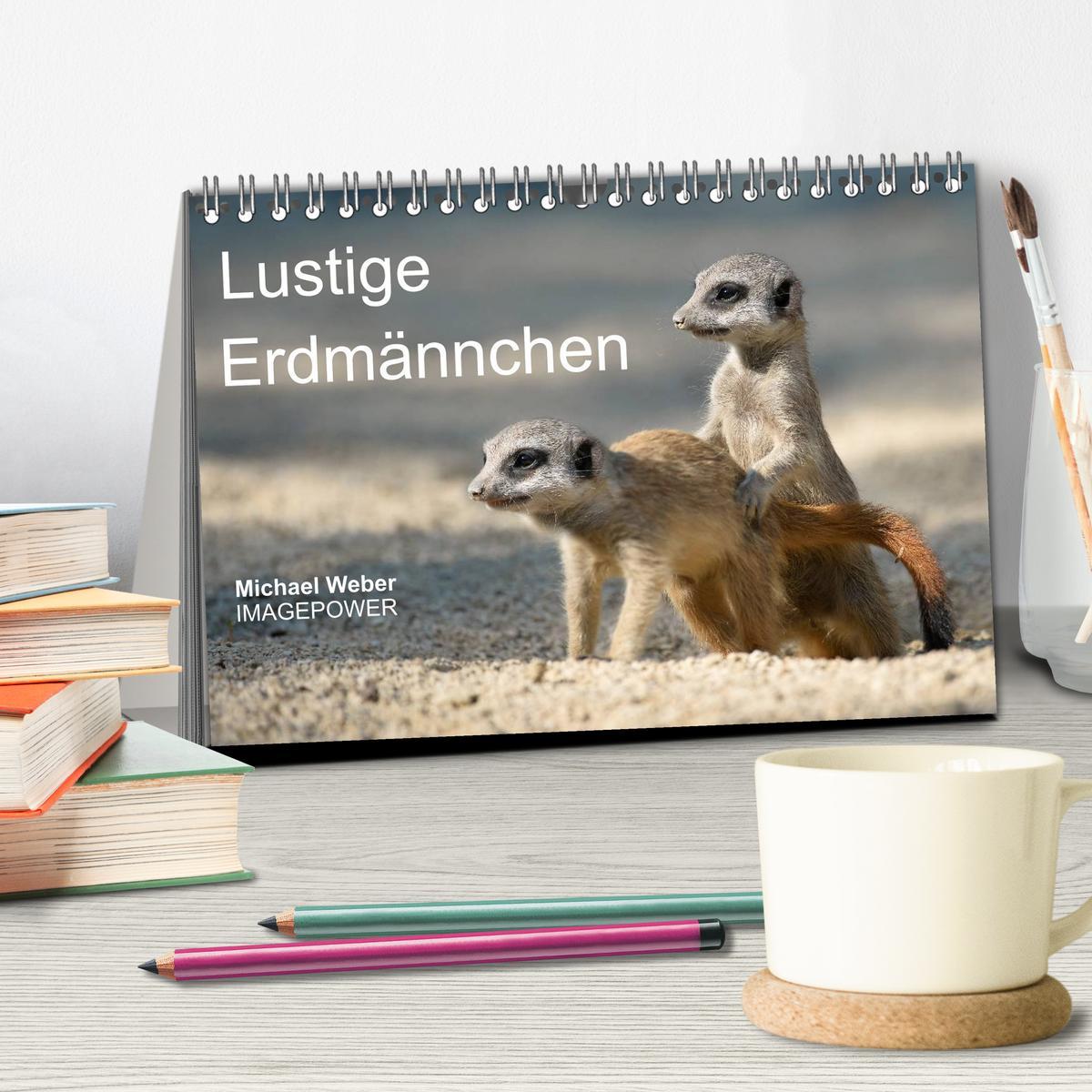 Bild: 9783435781386 | Lustige Erdmännchen (Tischkalender 2025 DIN A5 quer), CALVENDO...