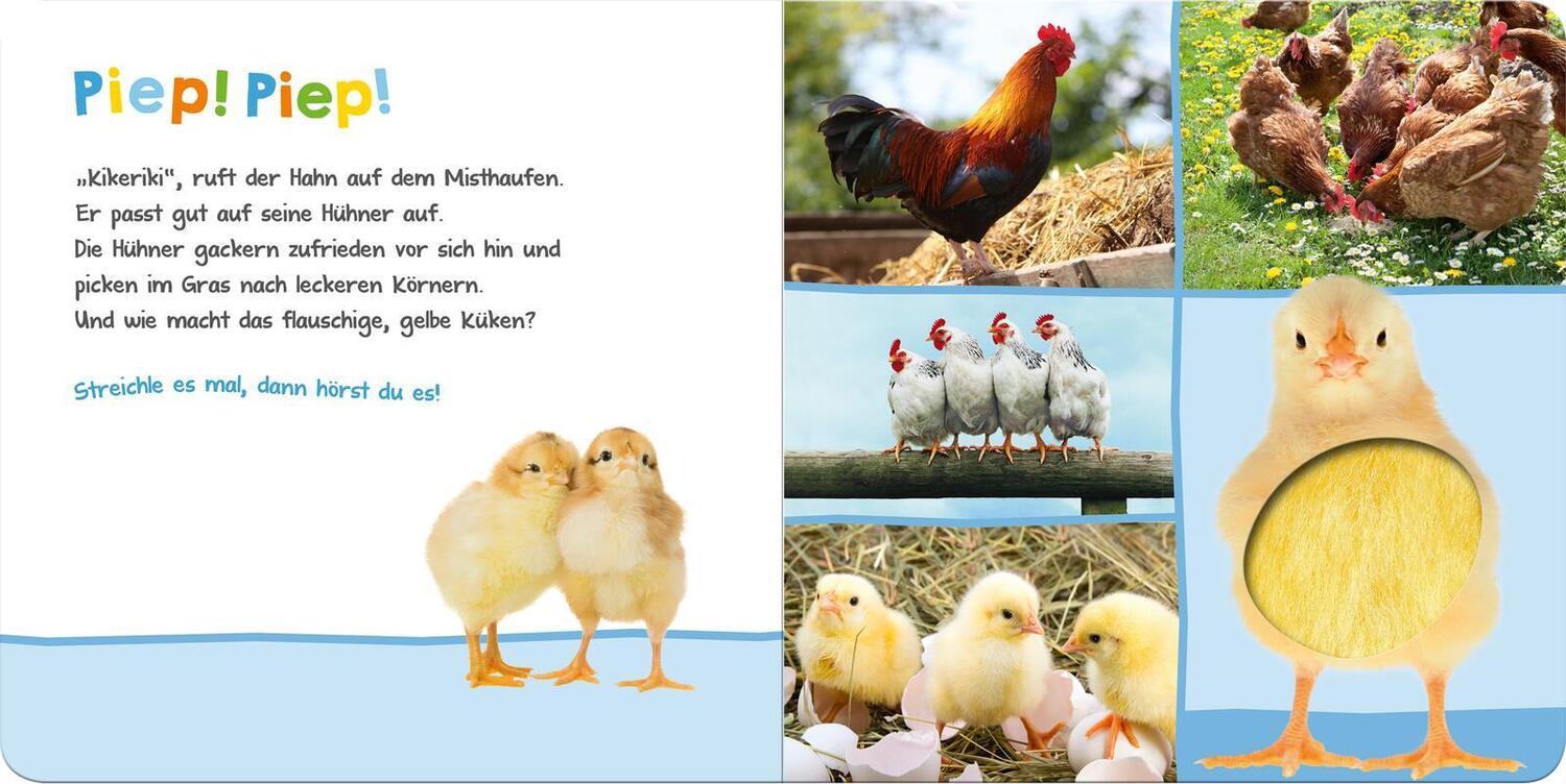 Bild: 9783845811895 | Hör mal rein, wer kann das sein? Bauernhoftiere | Buch | 12 S. | 2015