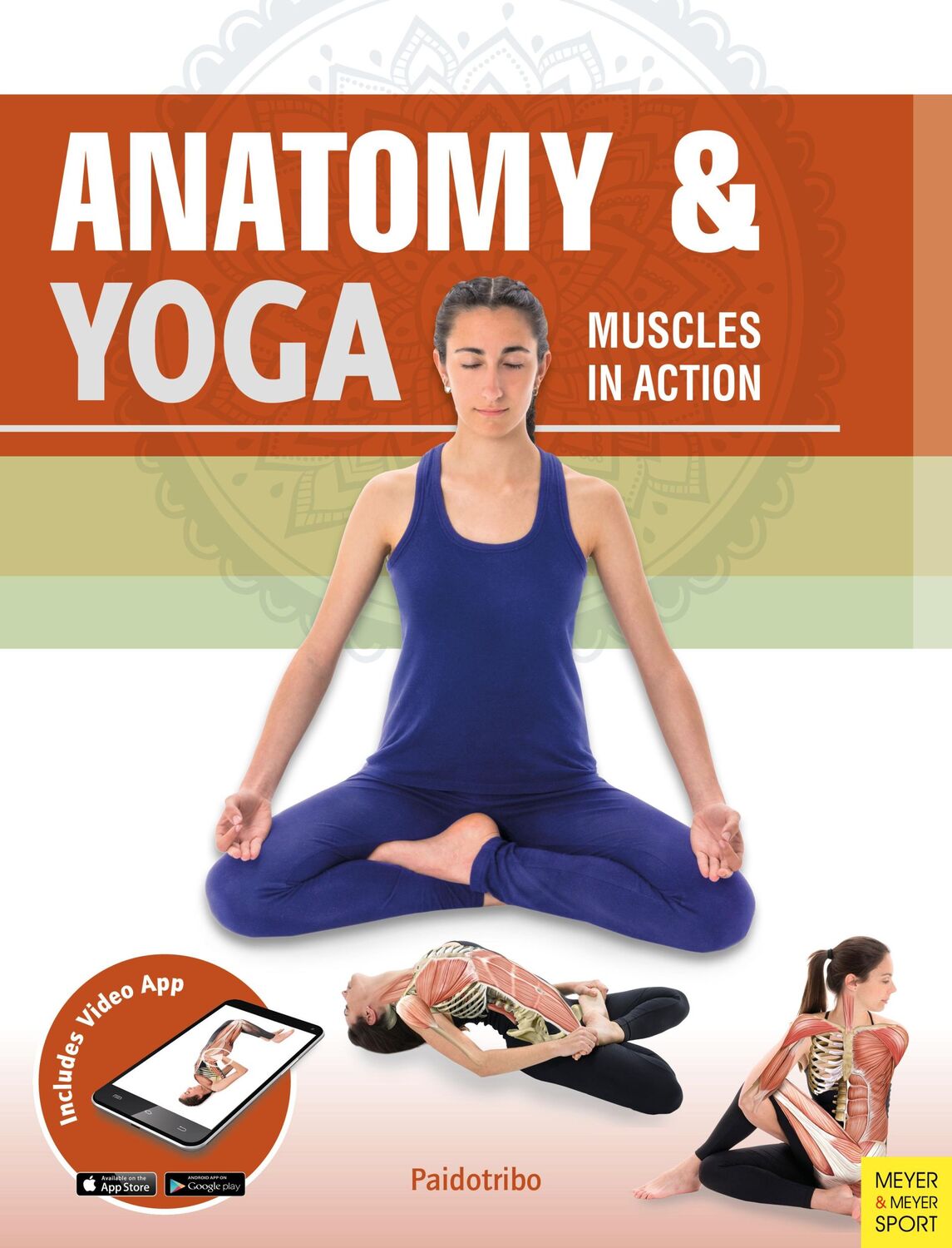 Cover: 9781782551522 | Anatomy &amp; Yoga: Muscles in Action | Mireia Patino Coll | Taschenbuch