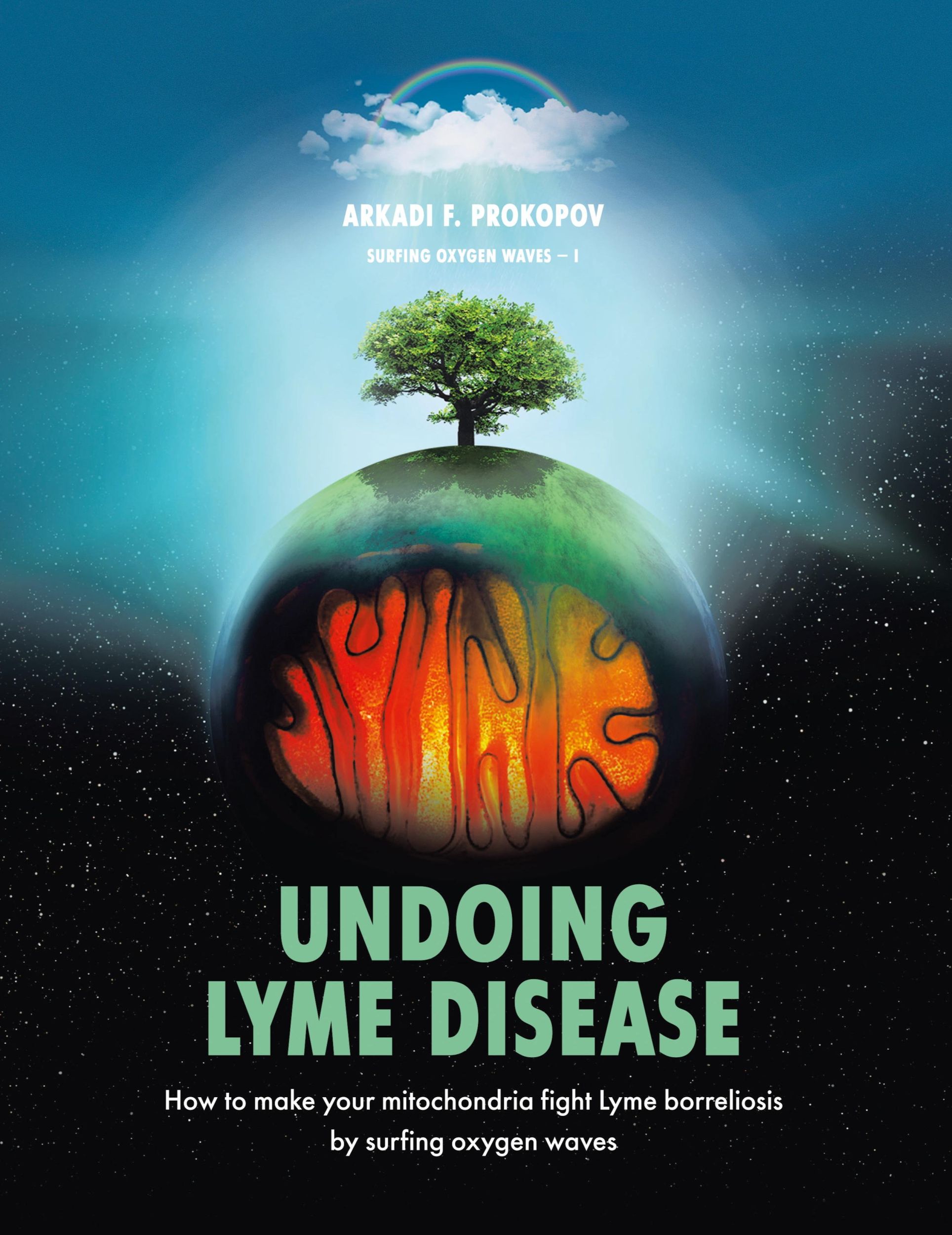 Cover: 9781543755459 | Undoing Lyme Disease | Arkadi F. Prokopov | Buch | Englisch | 2020