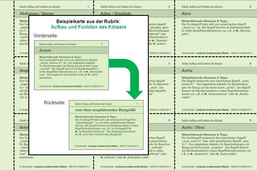 Bild: 9783895560576 | Lernkarten Grundwortschatz Medizin - 324 Karteikarten zum Einstieg...