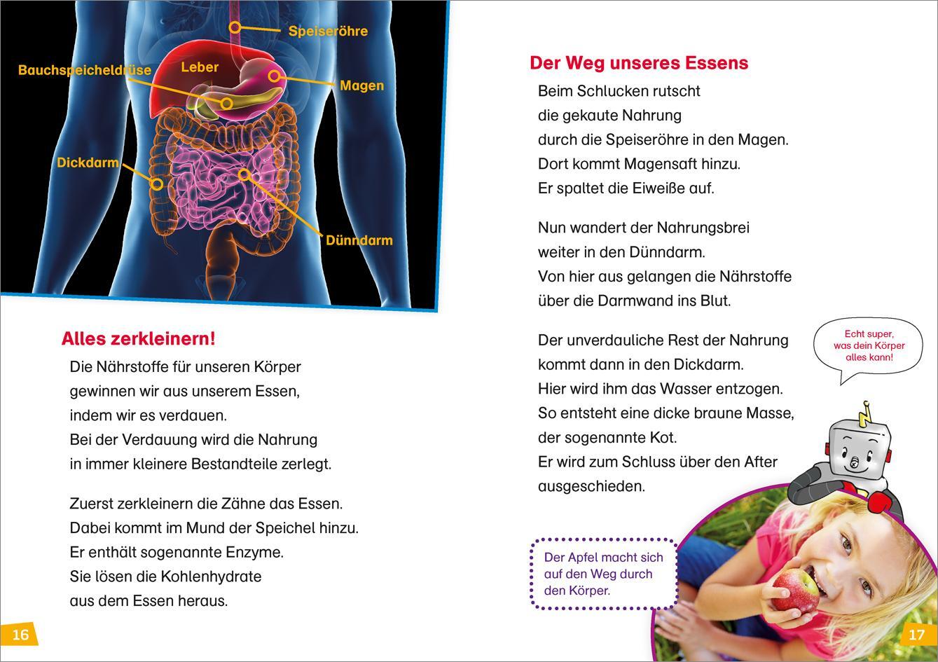 Bild: 9783788676704 | WAS IST WAS Erstes Lesen Band 14. Unser Körper | Christina Braun