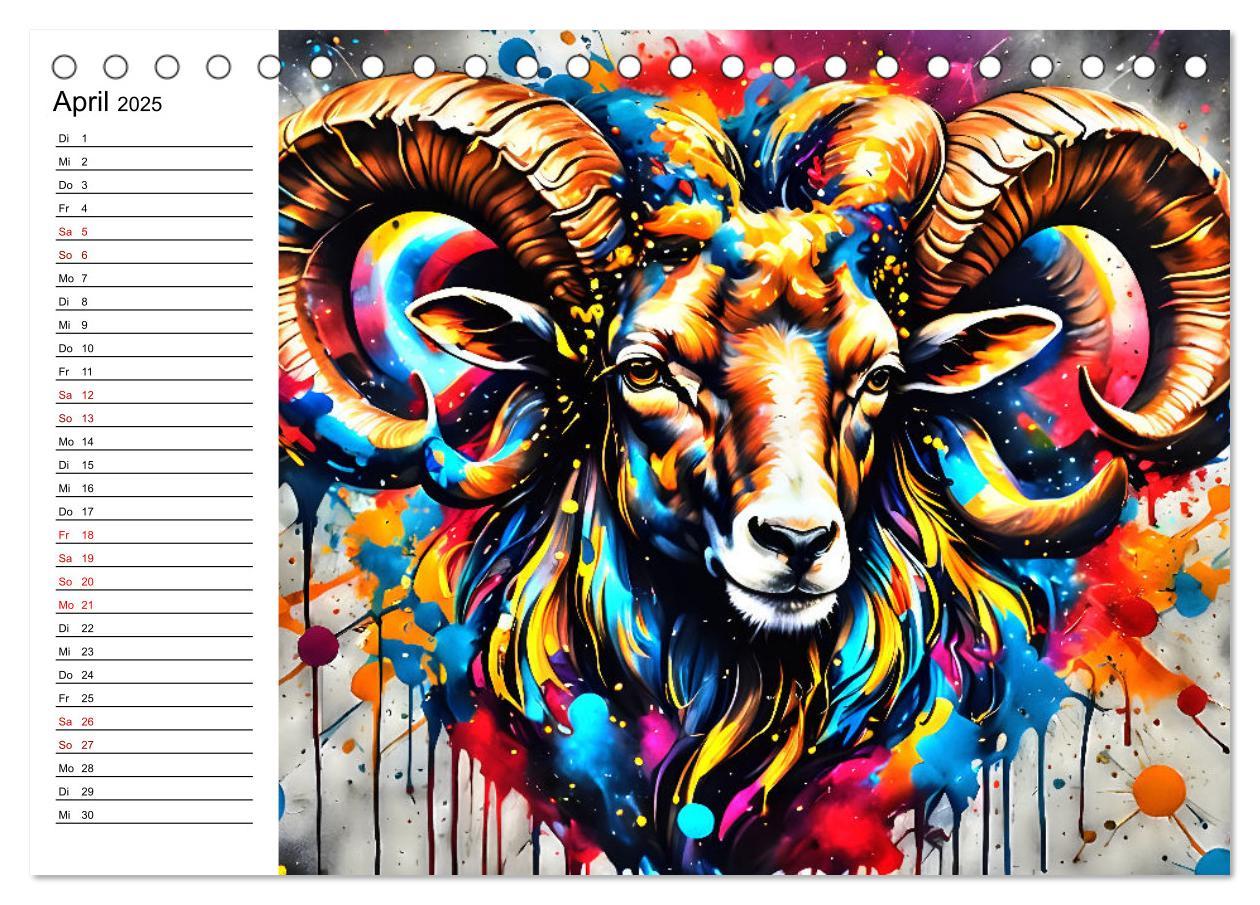 Bild: 9783457130049 | Street Art Sternzeichen (Tischkalender 2025 DIN A5 quer), CALVENDO...