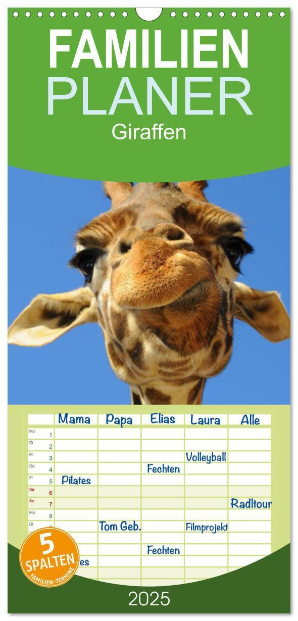 Cover: 9783457110126 | Familienplaner 2025 - Giraffen mit 5 Spalten (Wandkalender, 21 x 45...