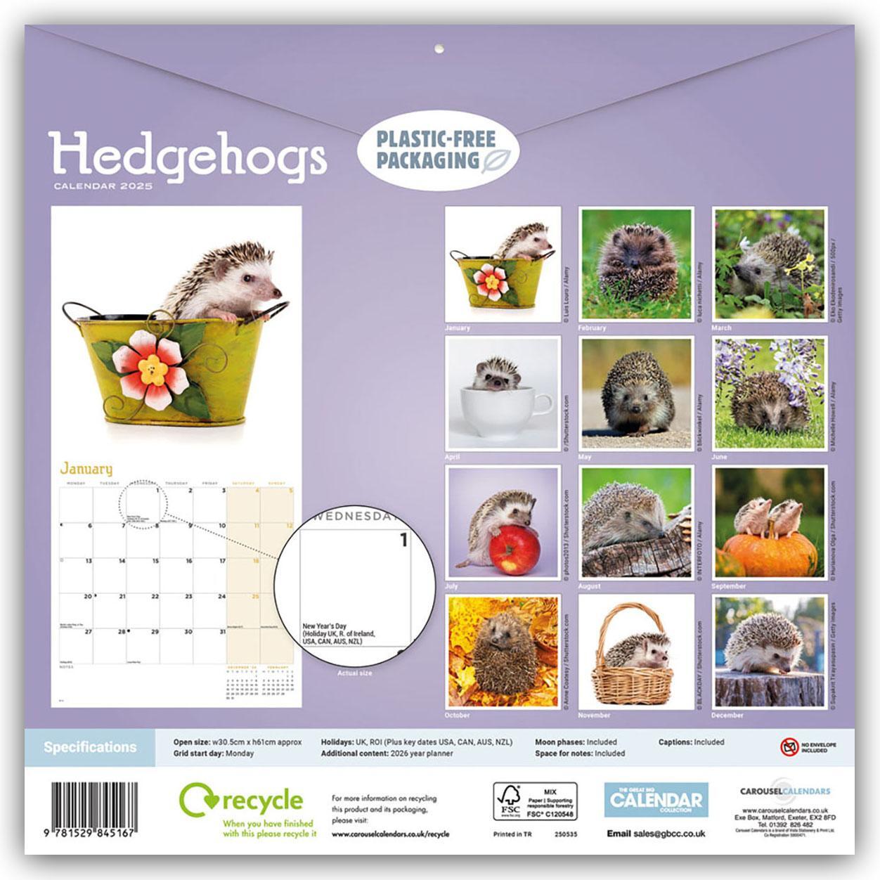 Rückseite: 9781529845167 | Hedgehogs - Igel 2025 - Wand-Kalender | Carousel Calendar | Kalender