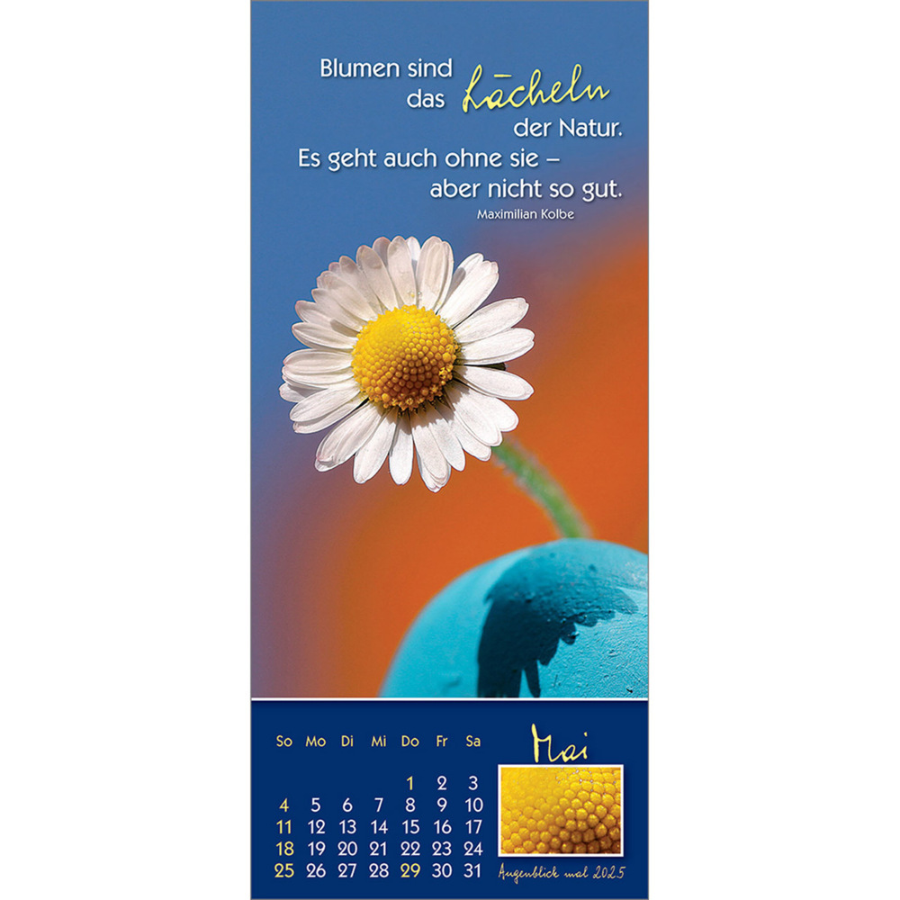 Bild: 9783754883556 | Augenblick mal 2025 | Der (kleine) Symbol-Kalender | Anke Will | 14 S.