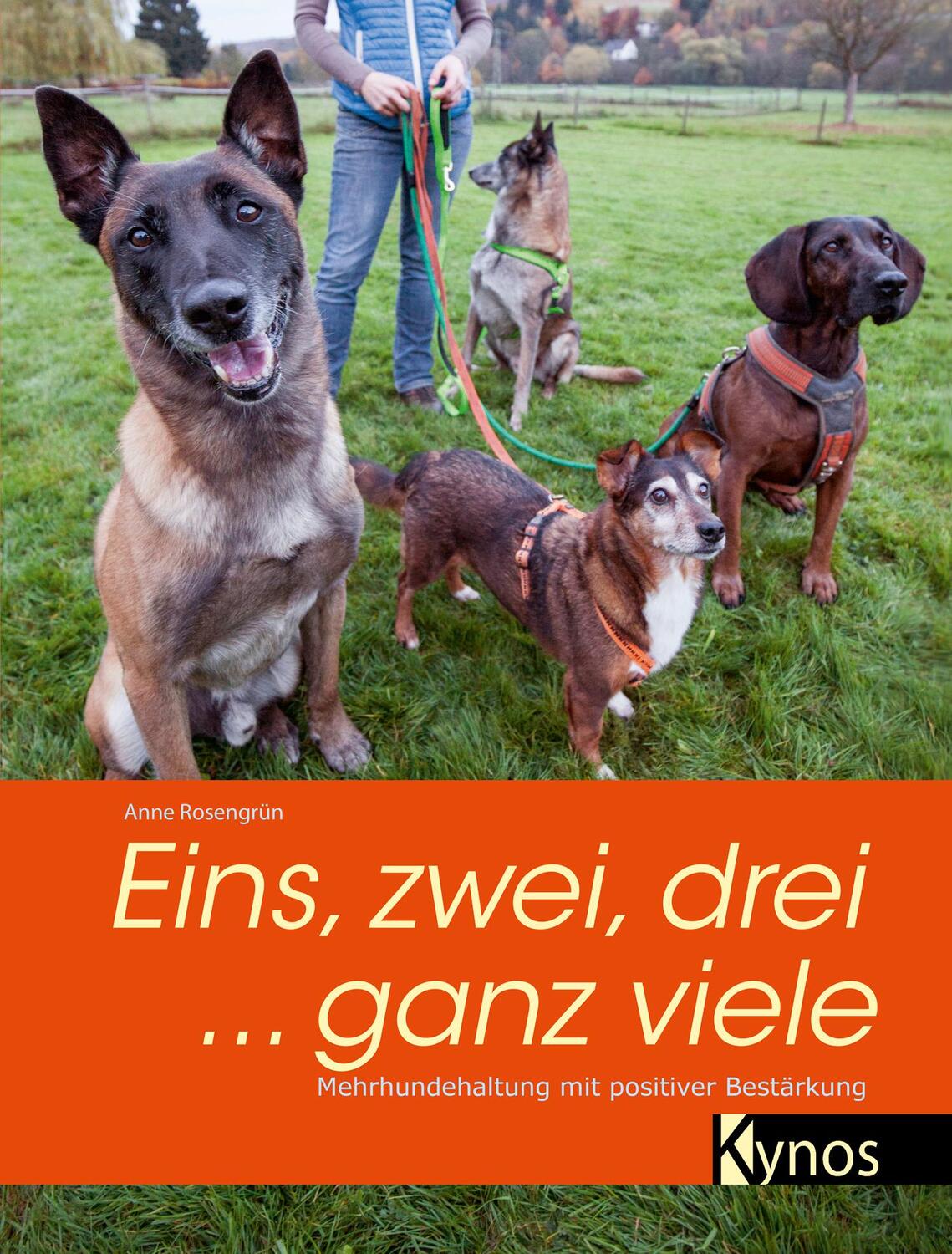 Cover: 9783954640867 | Eins, zwei, drei ... ganz viele | Anne Rosengrün | Buch | 211 S.