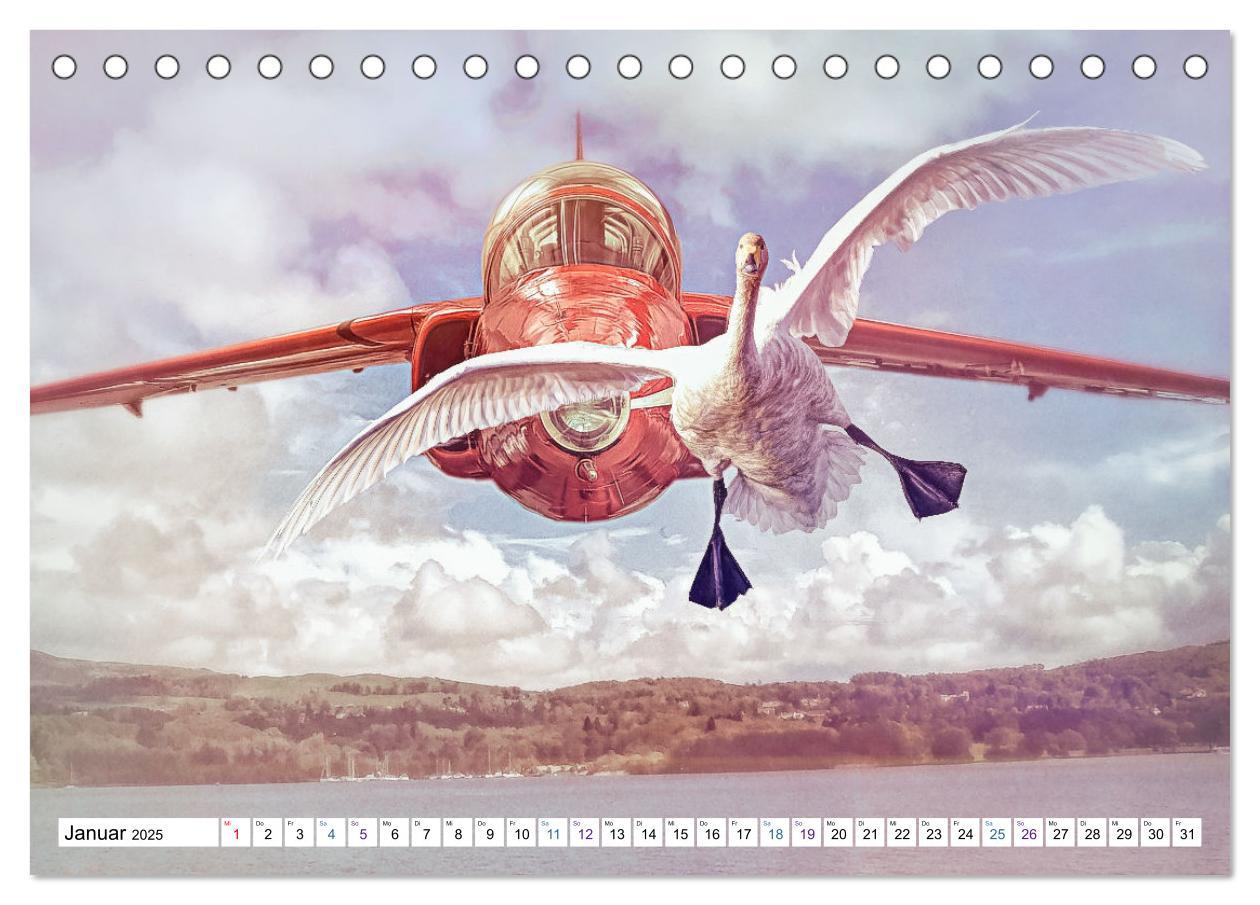 Bild: 9783435067398 | Fliegen, Fliegen - humorvolle Montagen (Tischkalender 2025 DIN A5...