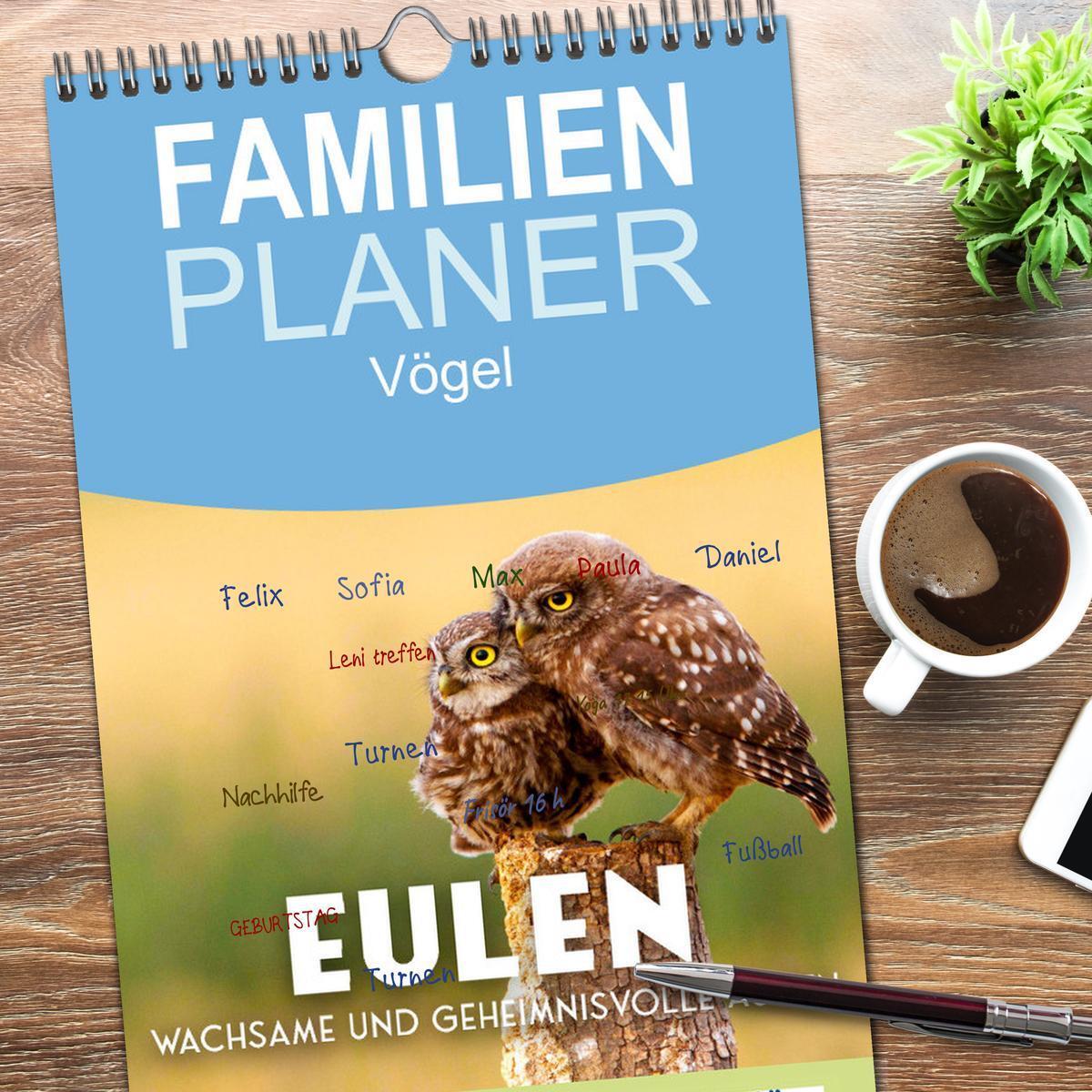 Bild: 9783457096086 | Familienplaner 2025 - Eulen - Wachsame und geheimnisvolle Augen mit...