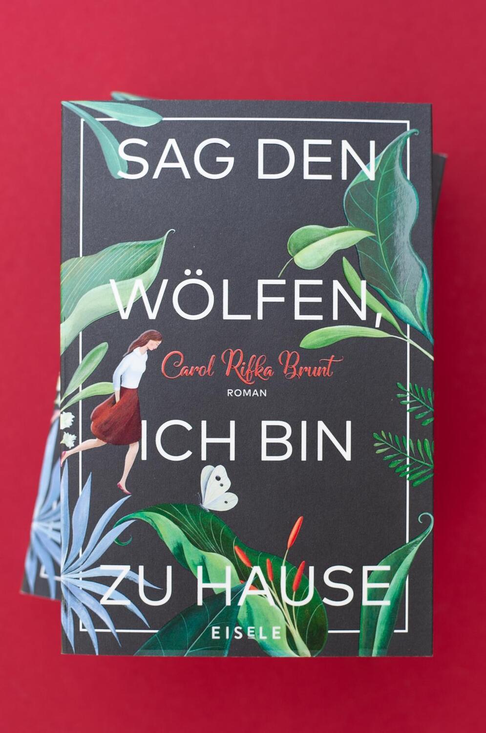 Bild: 9783961610563 | Sag den Wölfen, ich bin zu Hause | Roman | Carol Rifka Brunt | Buch