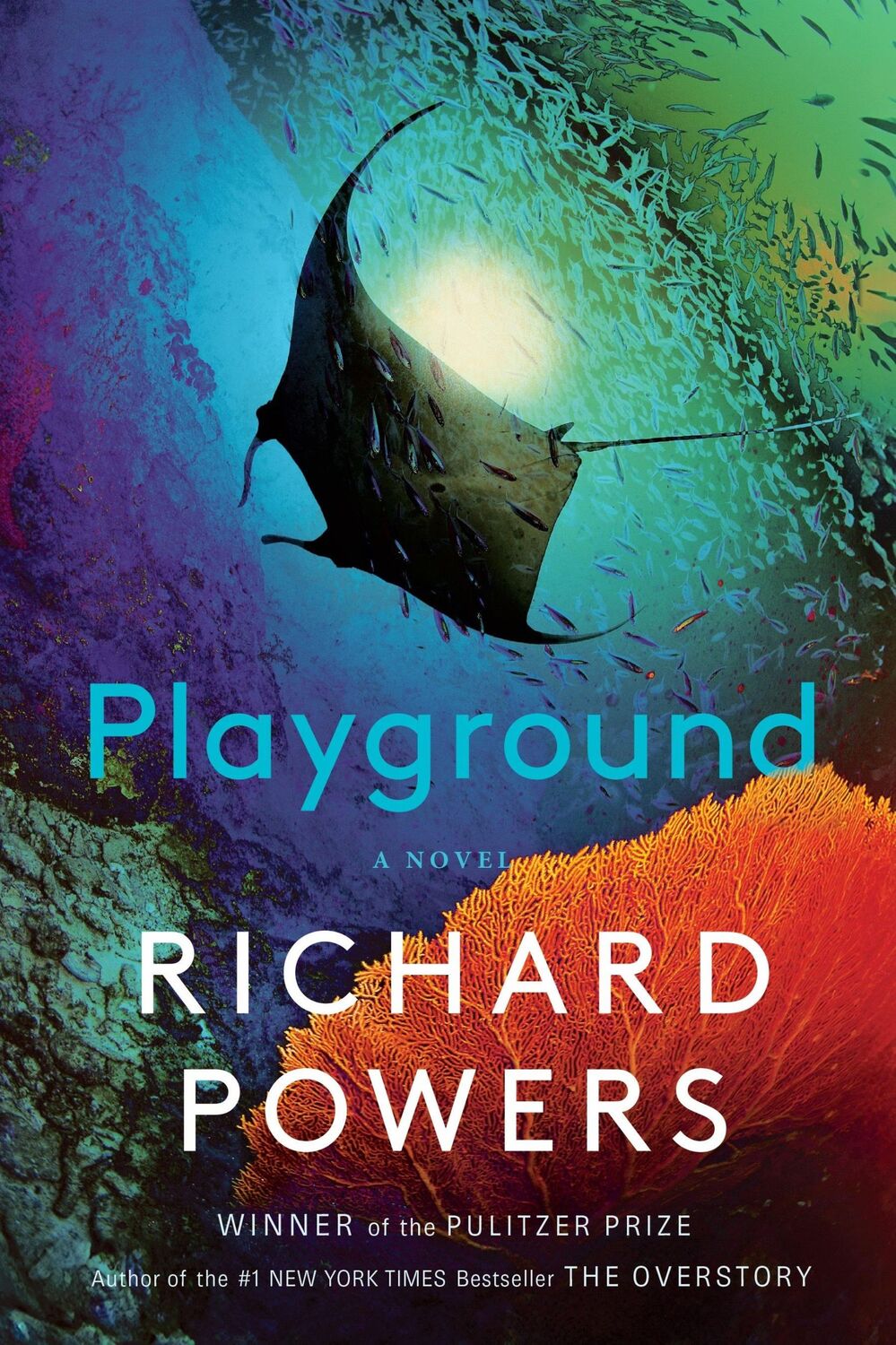 Cover: 9781324089391 | Playground | A Novel | Richard Powers | Taschenbuch | 400 S. | 2024