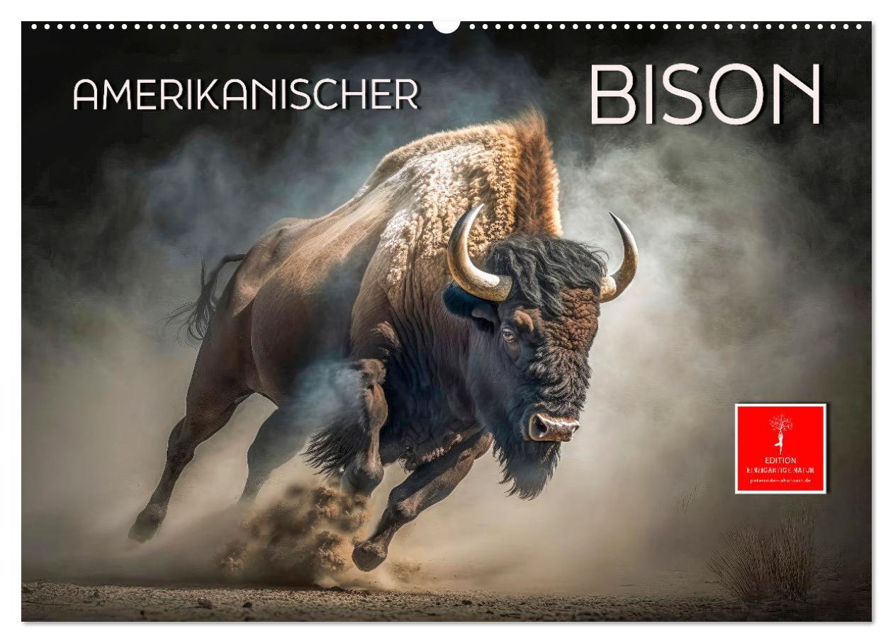 Cover: 9783383911491 | Amerikanischer Bison (Wandkalender 2025 DIN A2 quer), CALVENDO...