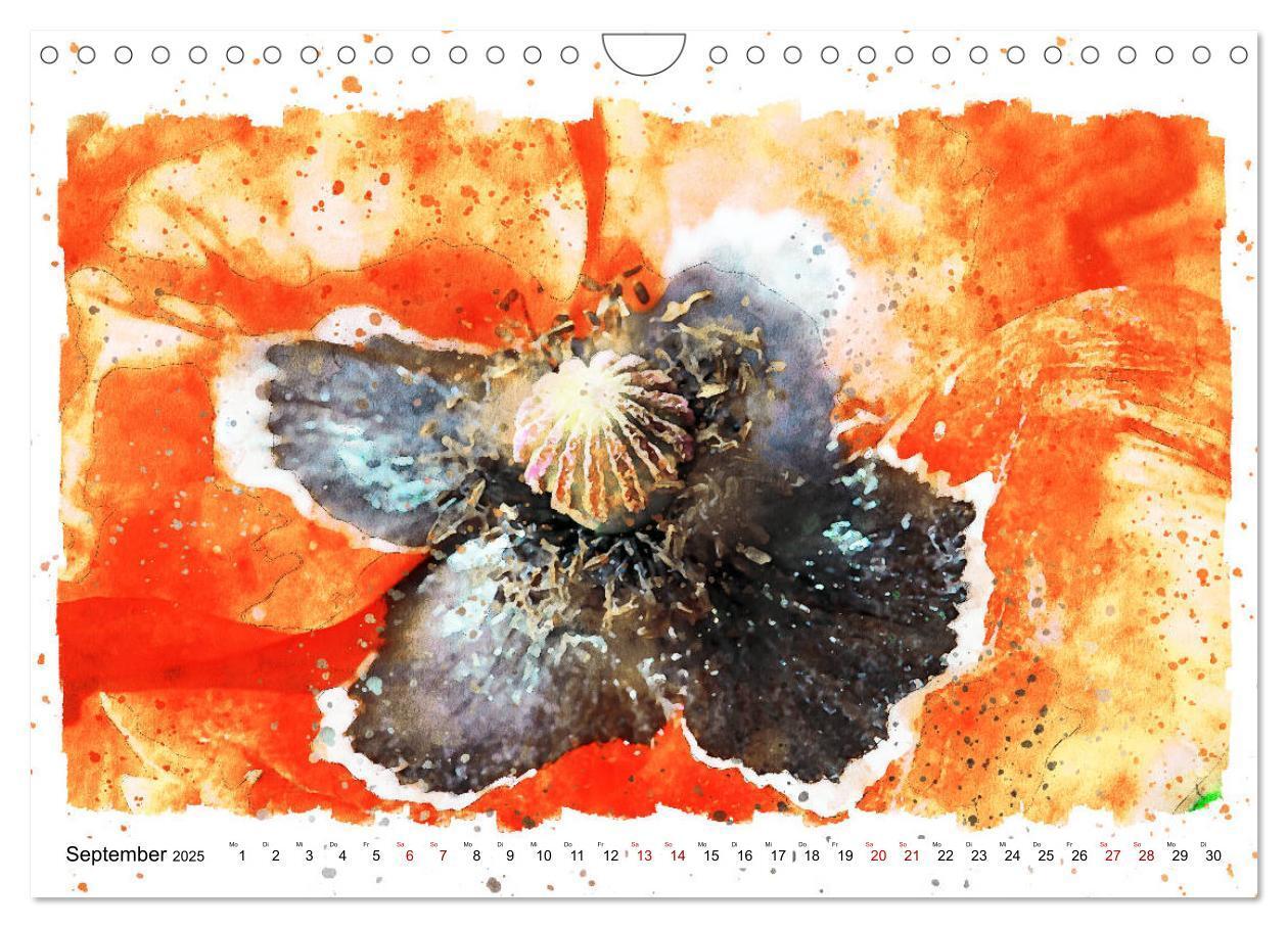 Bild: 9783435141241 | Mohnblüten in Aquarell (Wandkalender 2025 DIN A4 quer), CALVENDO...