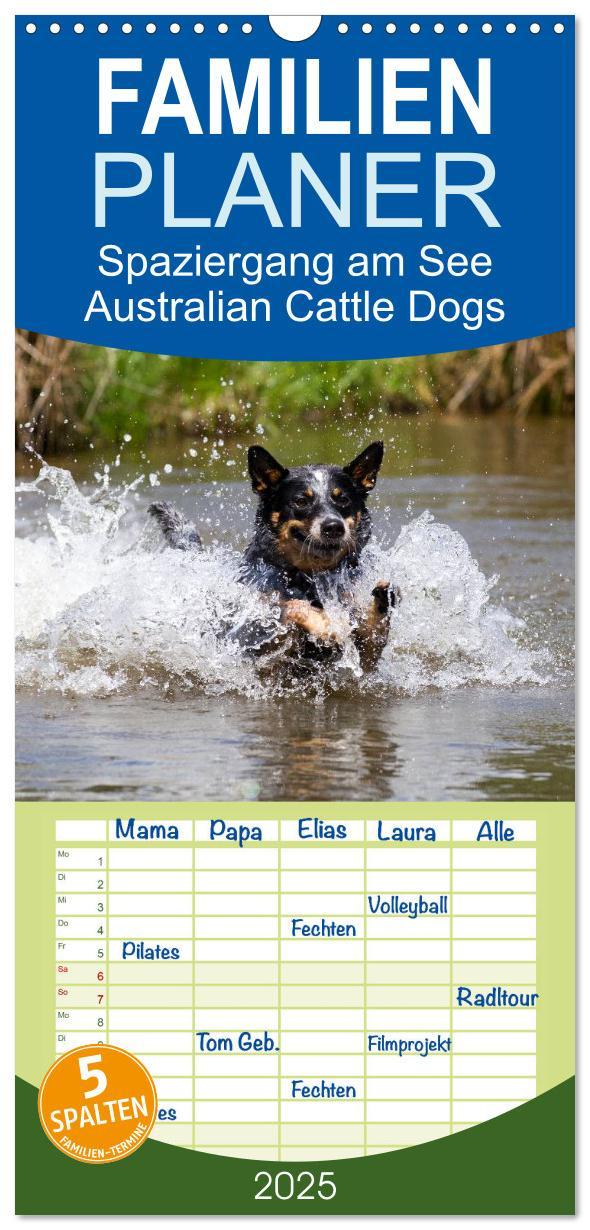 Cover: 9783457118481 | Familienplaner 2025 - Spaziergang am See Australian Cattle Dogs mit...