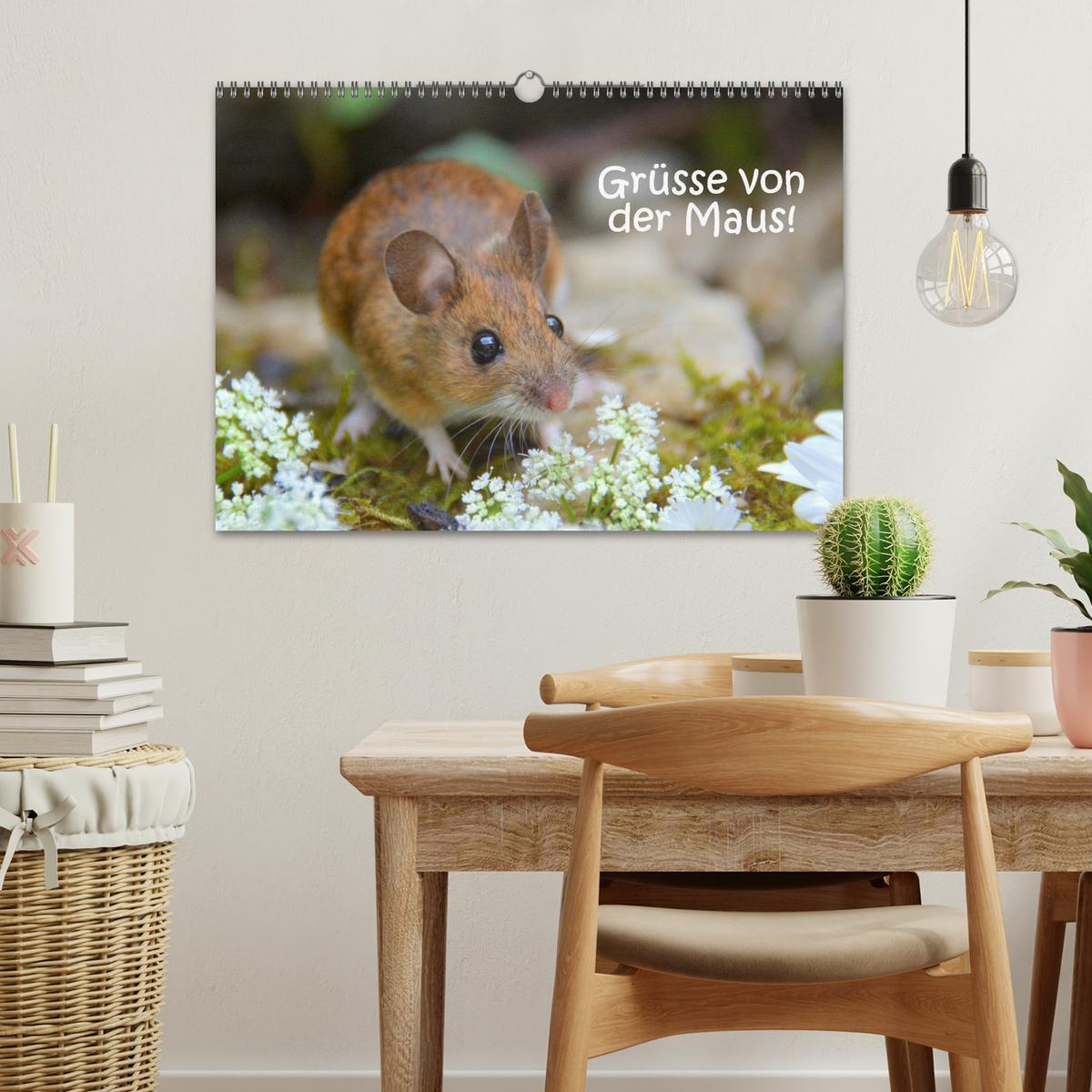 Bild: 9783435442430 | Grüsse von der Maus! (Wandkalender 2025 DIN A3 quer), CALVENDO...