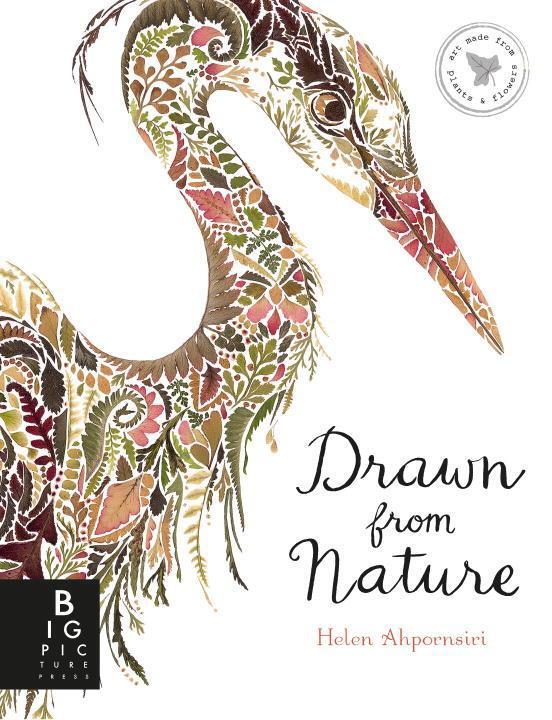 Cover: 9780763698980 | Drawn from Nature | Helen Ahpornsiri | Buch | Englisch | 2018