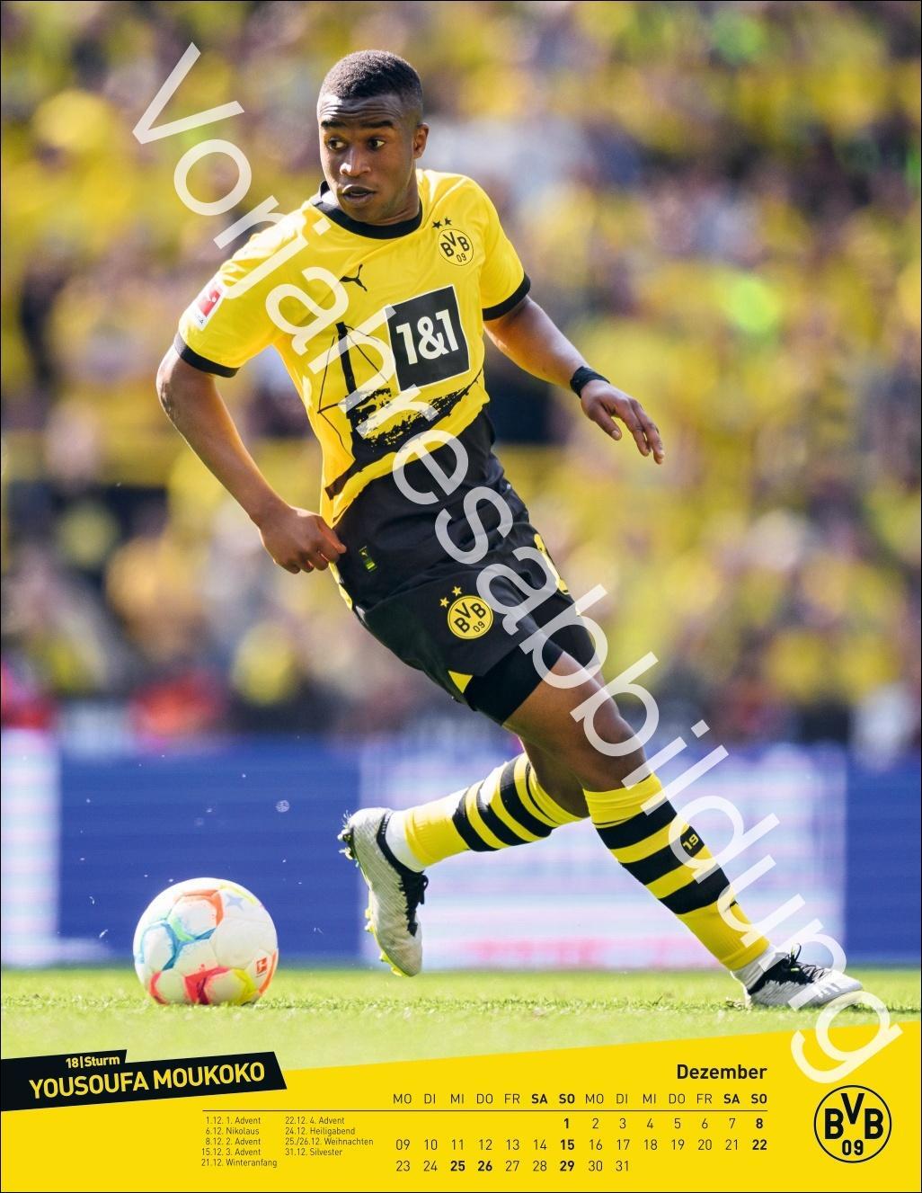 Bild: 9783756405435 | BVB Posterkalender 2025 | Heye | Kalender | Bundesliga Kalender Heye