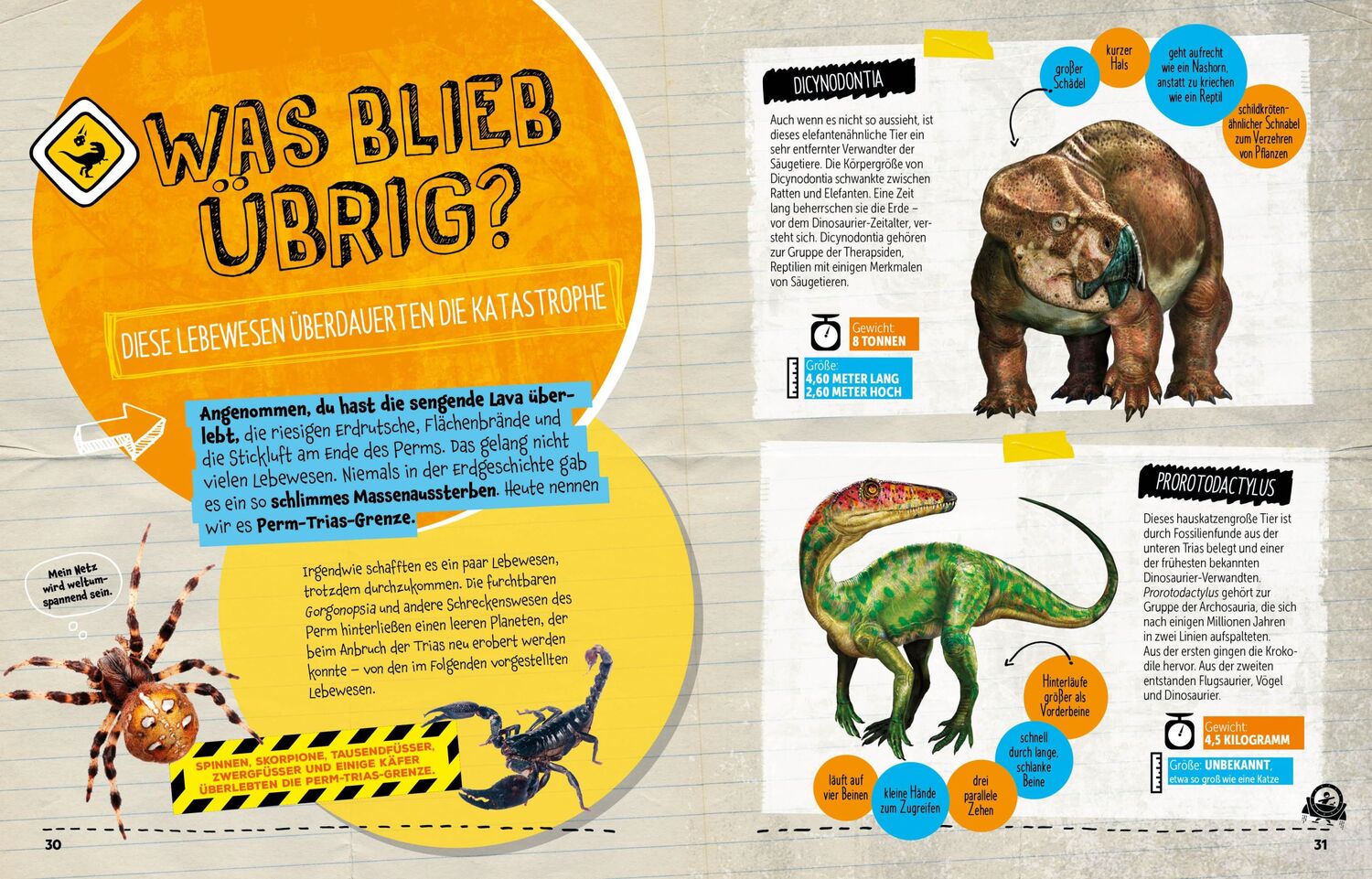 Bild: 9788863126297 | SURVIVAL GUIDE. Wie überlebst du im Zeitalter der DINOSAURIER! | Buch